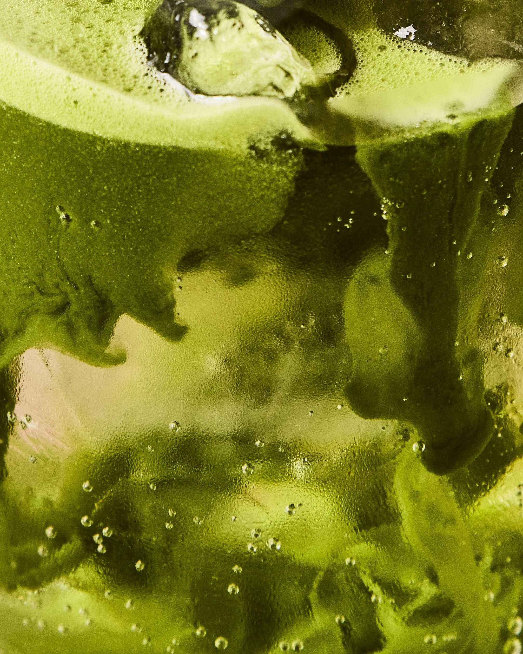 Matcha culture low res location 16.jpg