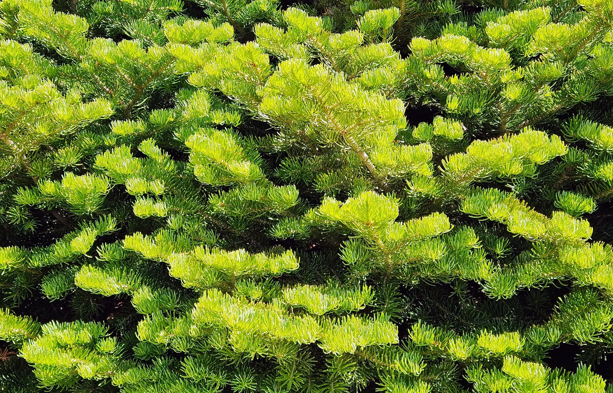 Wise and Kind Keepers (Part 5 – Titus 2:3-5)