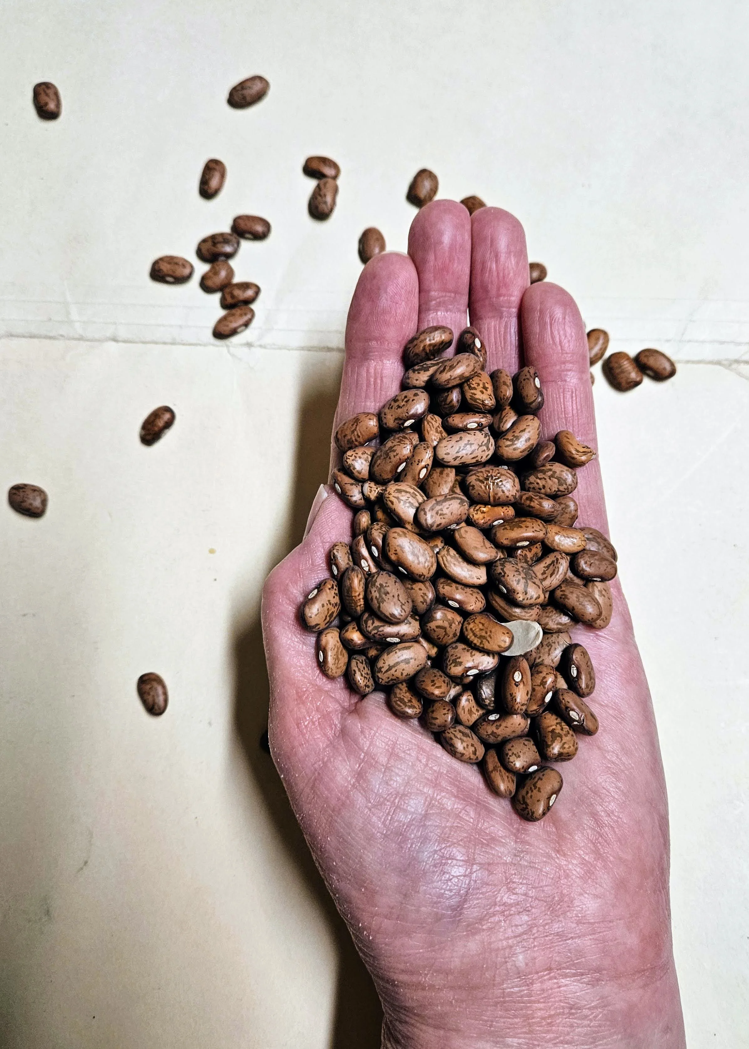 Adventures in Generosity: An Open Hand