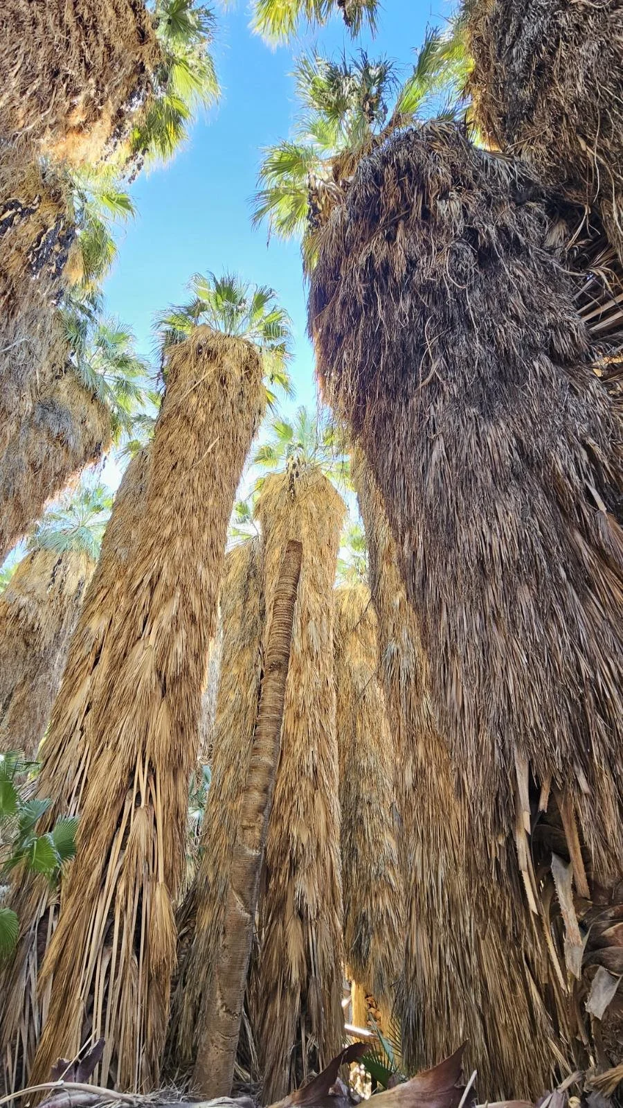 Adventures in Generosity: A Generous Thought