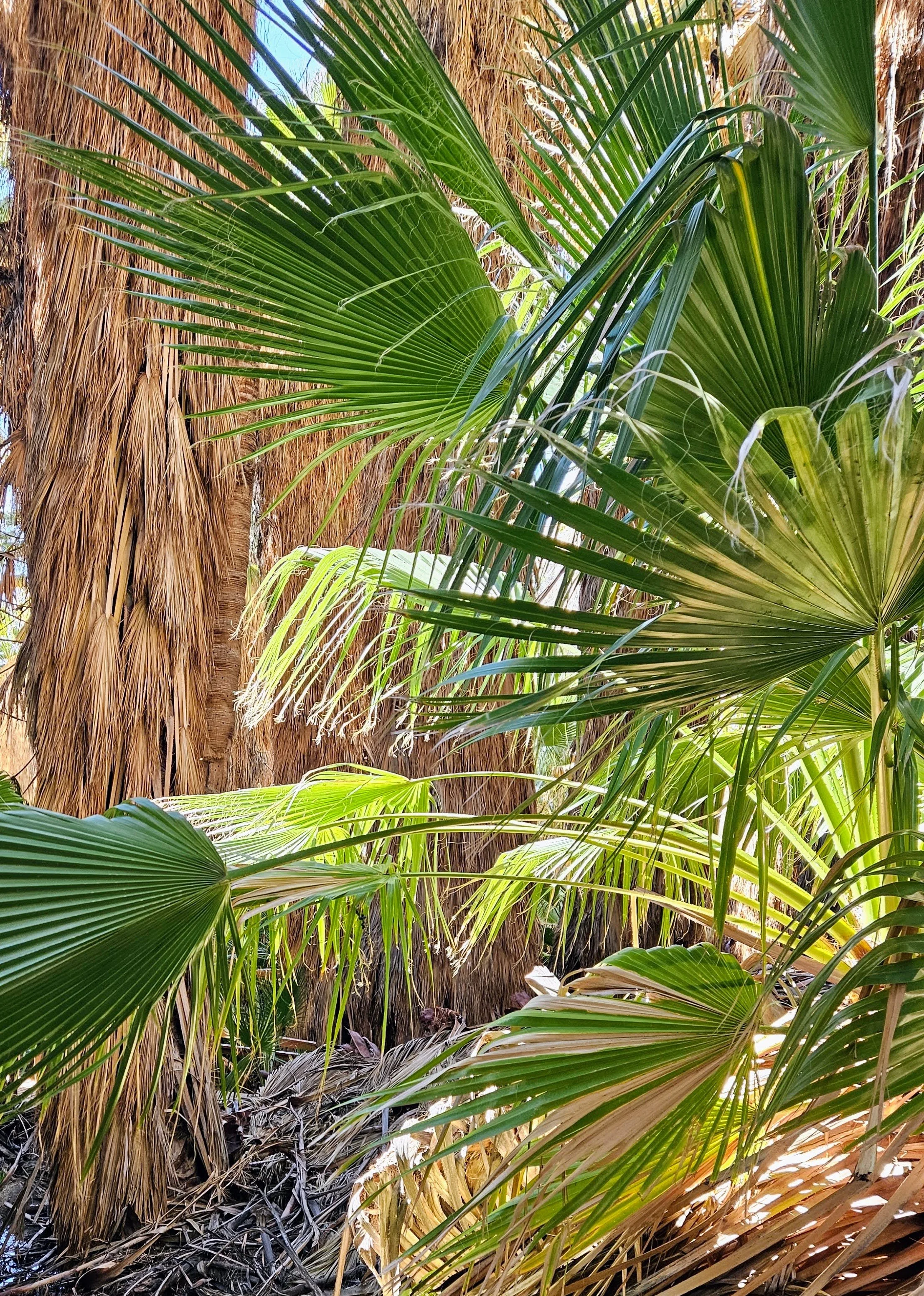 Adventures in Generosity: Prepared