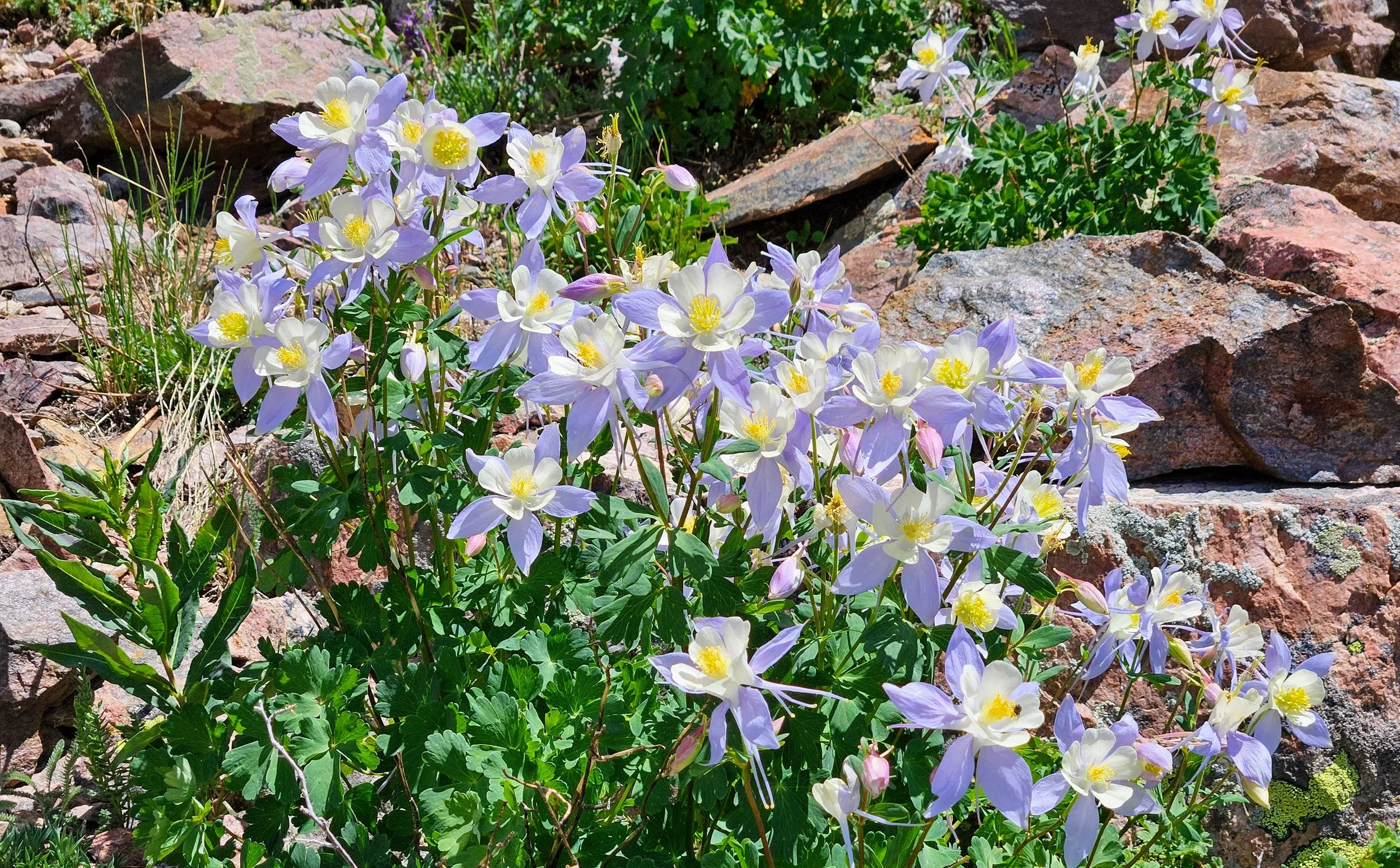 Doubting God’s Goodness (Part 1)