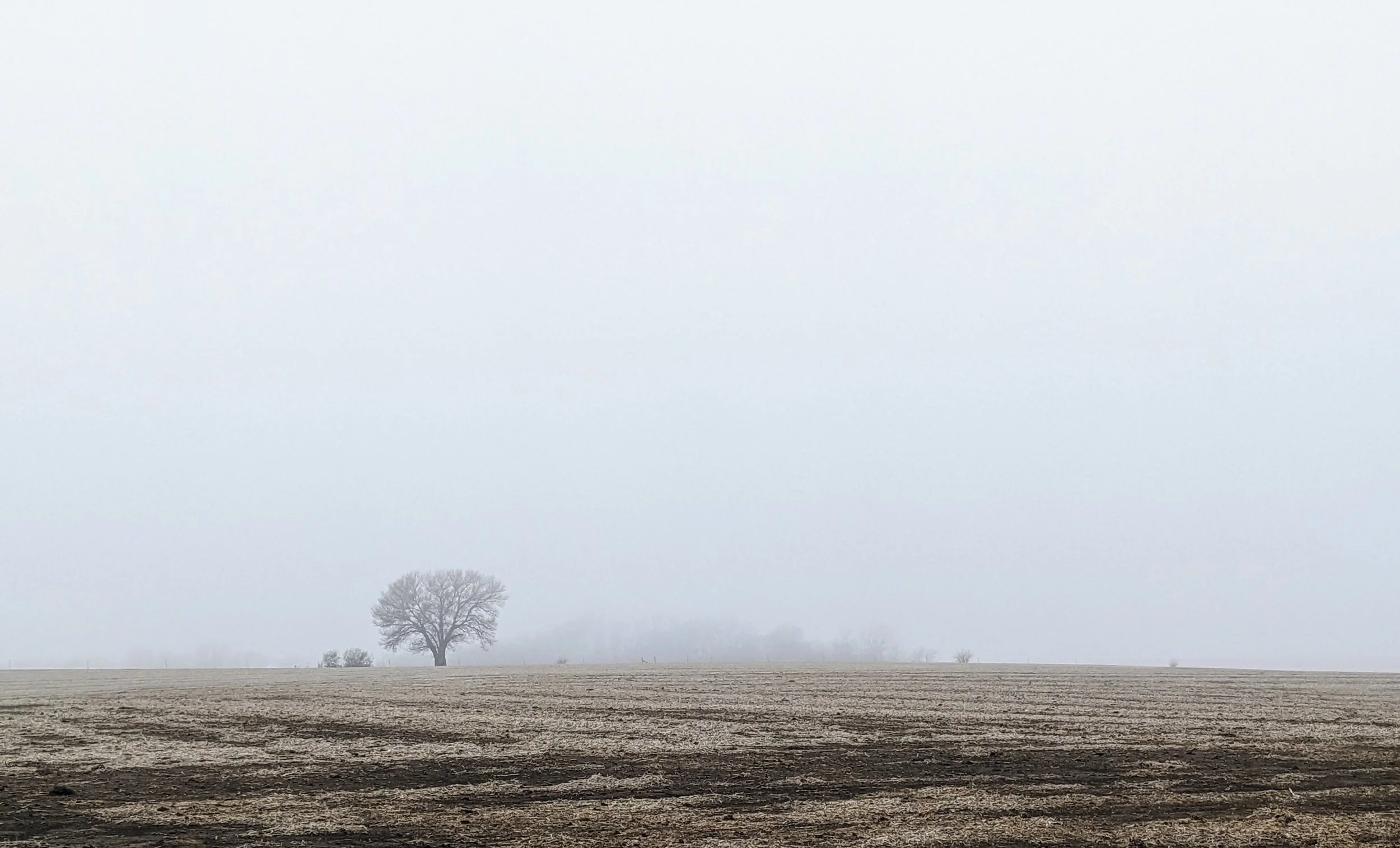 Assigning Blame Accurately | Doubting God’s Goodness (Part 3)
