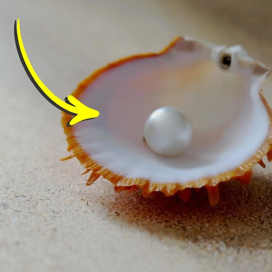 Ge s&aring;ngen sj&auml;l.

Bl&auml;ddra f&ouml;r att l&auml;sa ➡️

Boka s&aring;nglektioner:
vokalstudion.se

Bas - Sj&auml;lvstudiekurs f&ouml;r alla r&ouml;ster och niv&aring;er:
vokalstudion.se/bas

Masterclass - Dagskurs i s&aring;ng:
vokalstudi