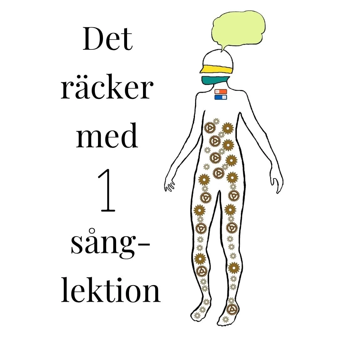 Varf&ouml;r det r&auml;cker med att ta 1 s&aring;nglektion.