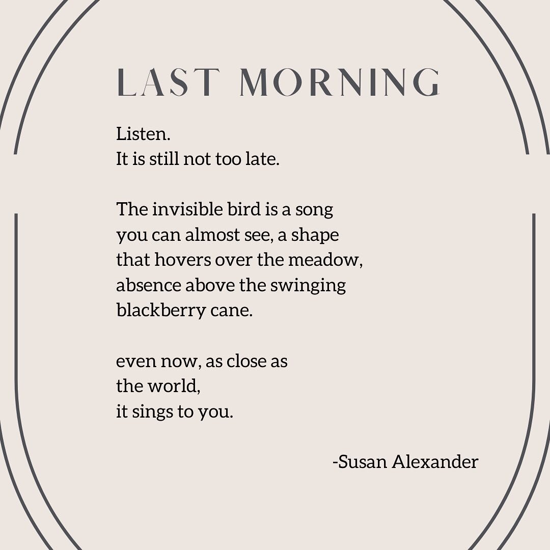 Last Morning is a poem we read on our most recent episode: Poetry, Loss, and Hope.  This poem can be found in Susan&rsquo;s most recent book &ldquo;Nothing You Can Carry&rdquo;, which is available now. 

We enjoyed our conversation with Susan immense