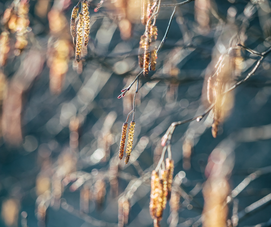 Poetry, Loss, and Hope with Susan Alexander