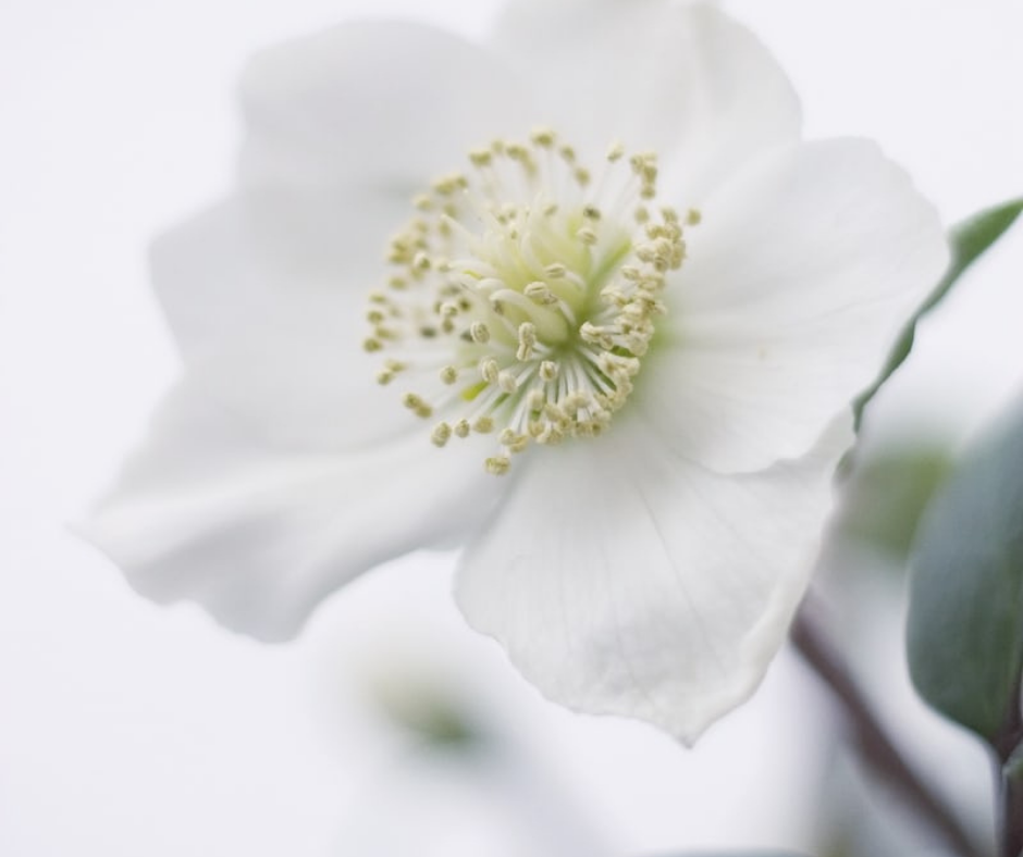 Purity Culture in Church Circles: A Conversation with Linda Kay Klein
