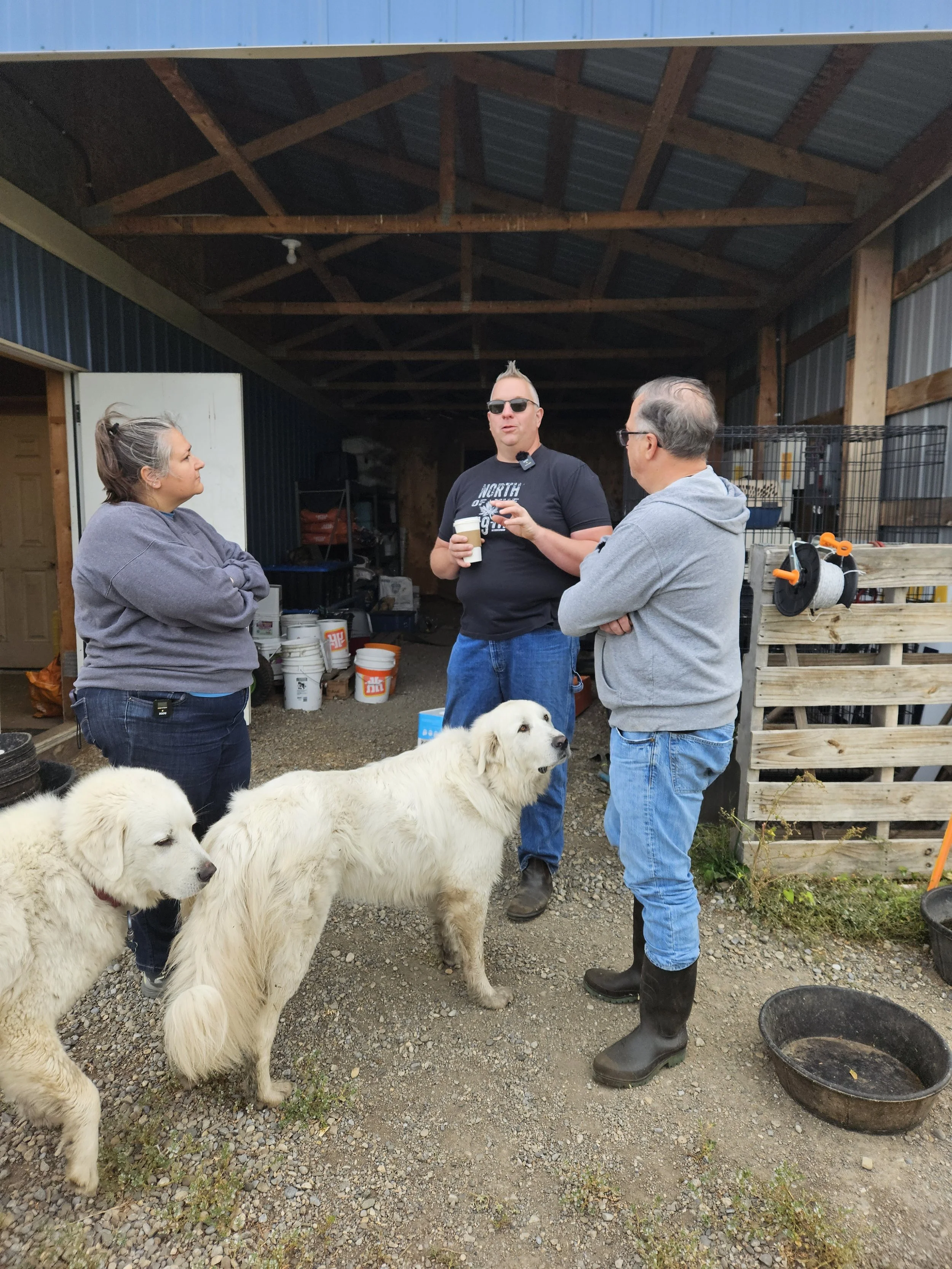 Marcus and the farm dogs Giles and Wesley