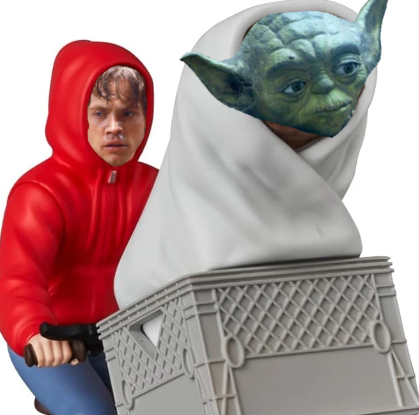 IMG_5881.png