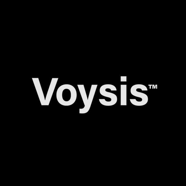 Voysis-Box.gif