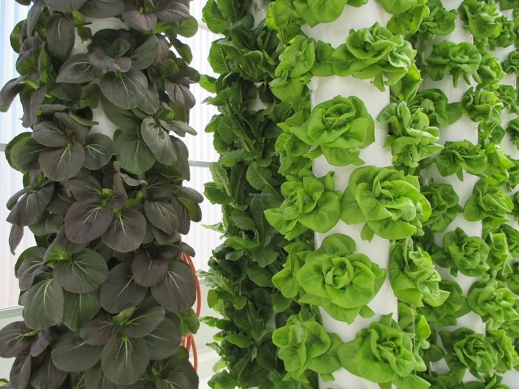 Project : Village Indoor Farm & ..Living Lab
