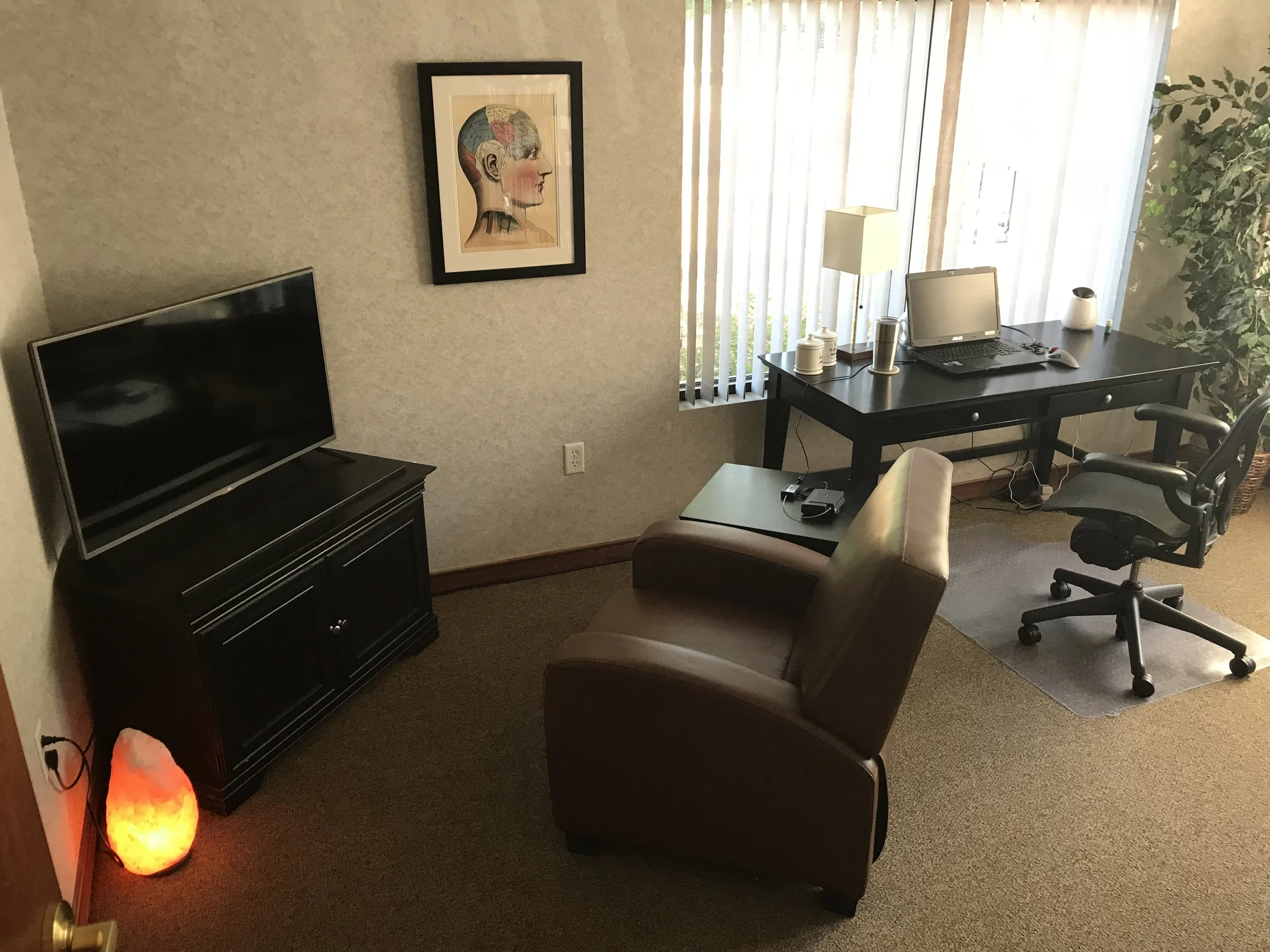 Interior view of a home office with a desk, chair, and a television on a stand, lamp, and framed artwork on the wall, with sunlight coming through vertical blinds and a plant in the corner.