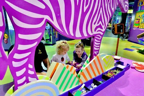 Zebra.jpg