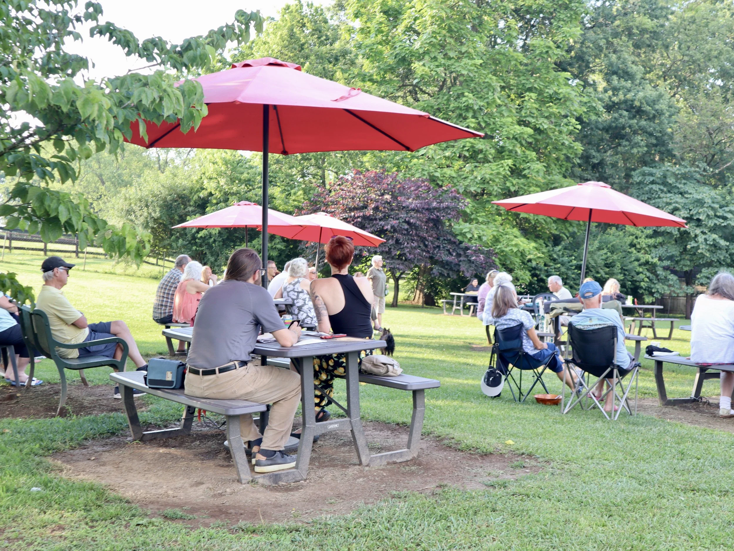 Friday Music at Windy Corner #17