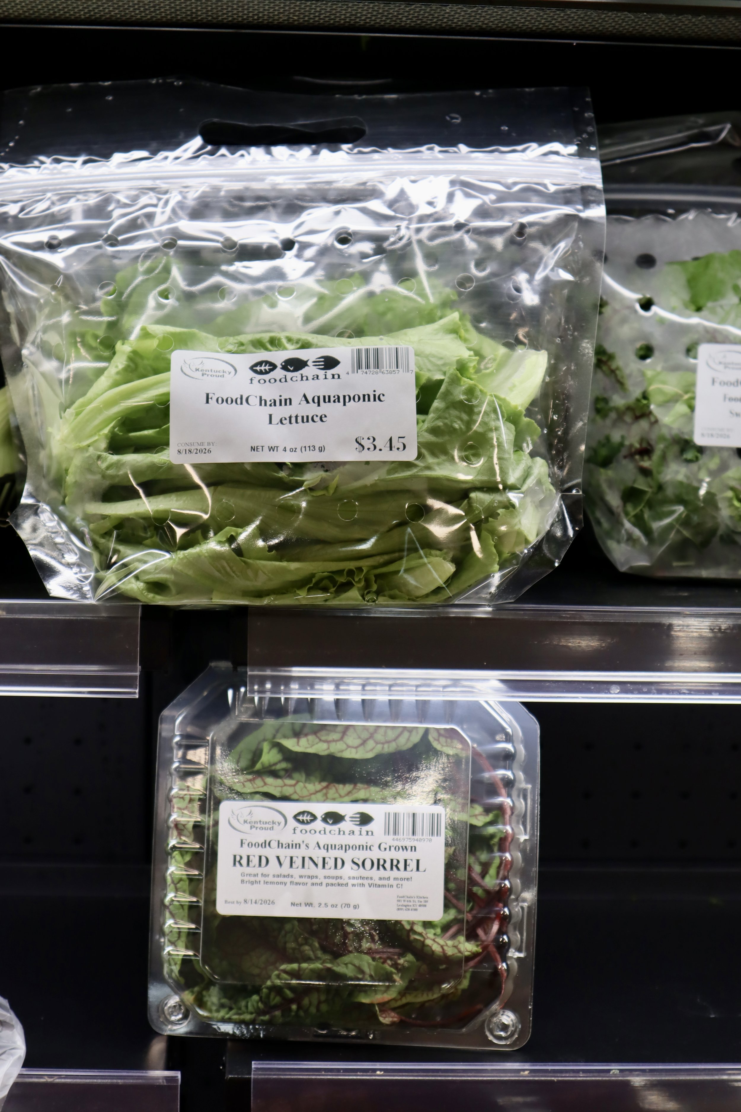 foodchain-grocery-6.jpg