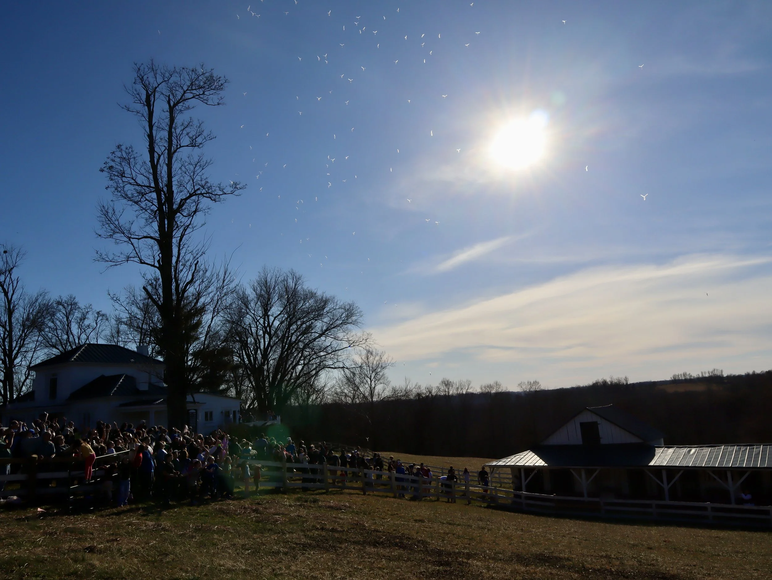 Kentucky Meat Shower Festival