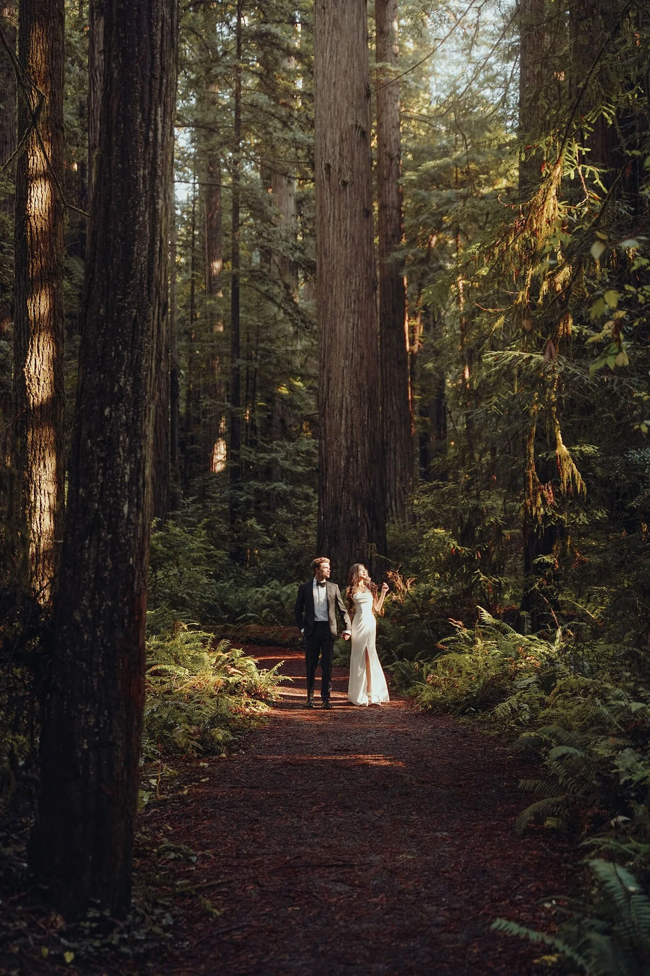 LIGHT in the forest copy.jpg