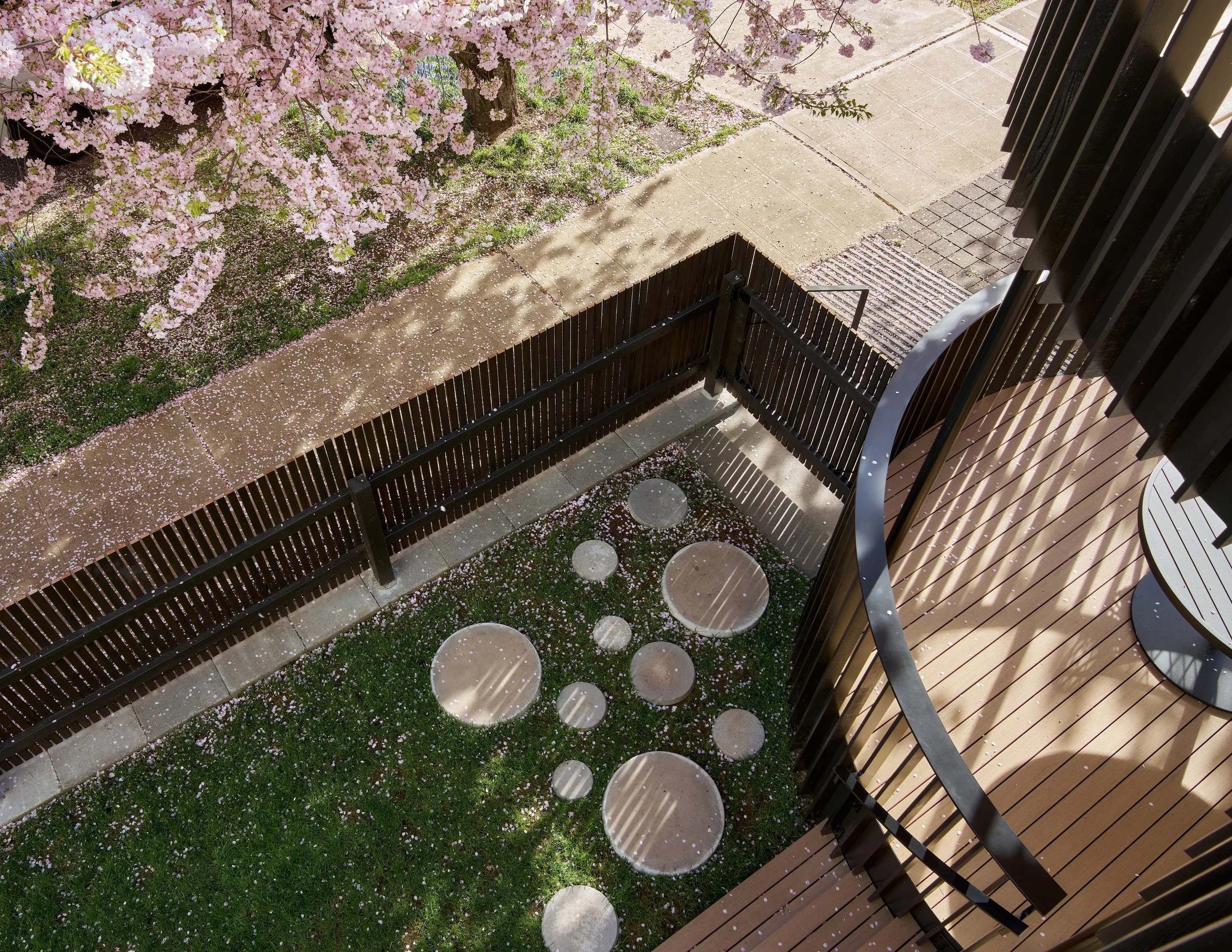 (c) Ross Eckert-Pug Porch-009 2.jpg