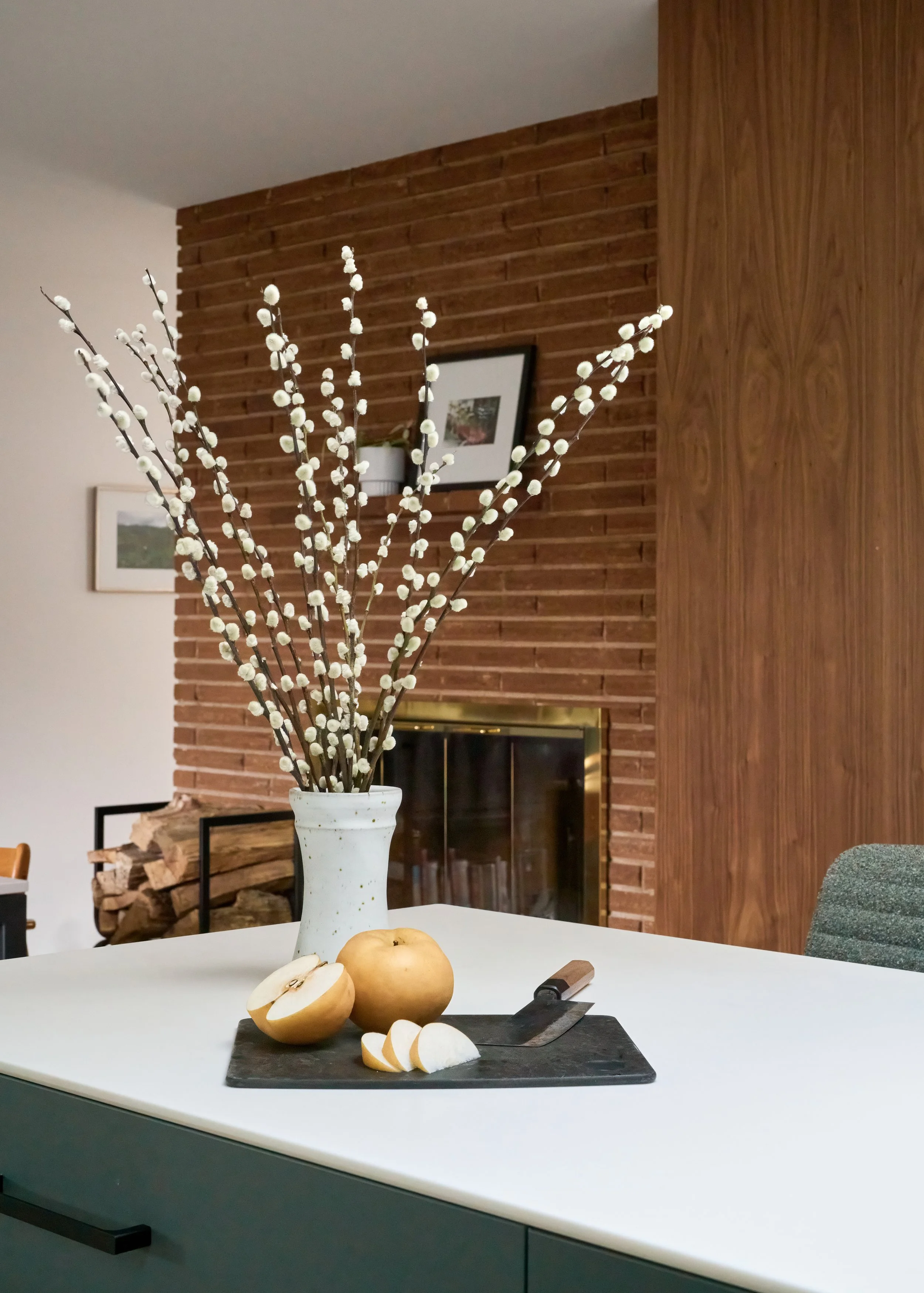 (c) Ross Eckert-Broadview Residence-12.jpg