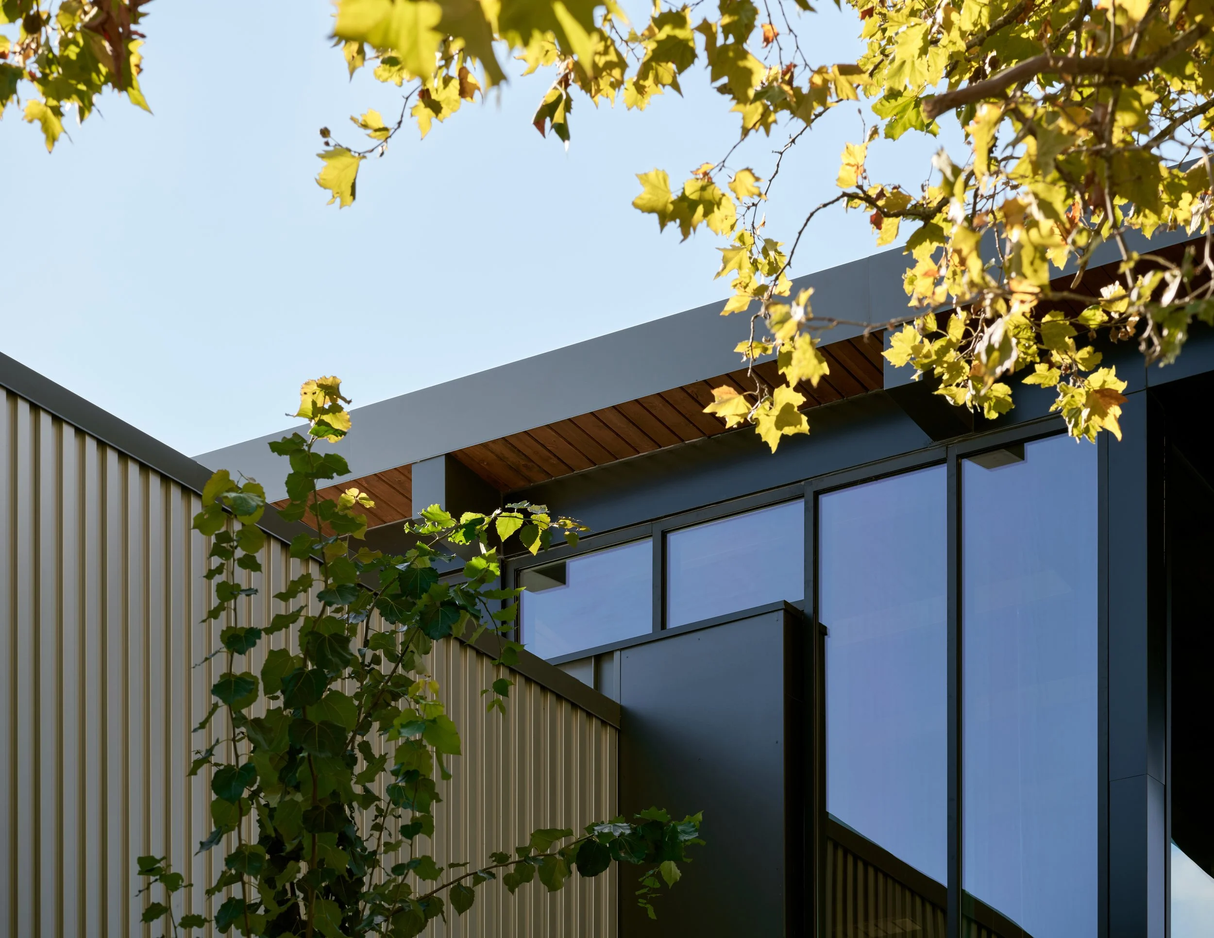 (c) Ross Eckert-Olympic College-014.jpg