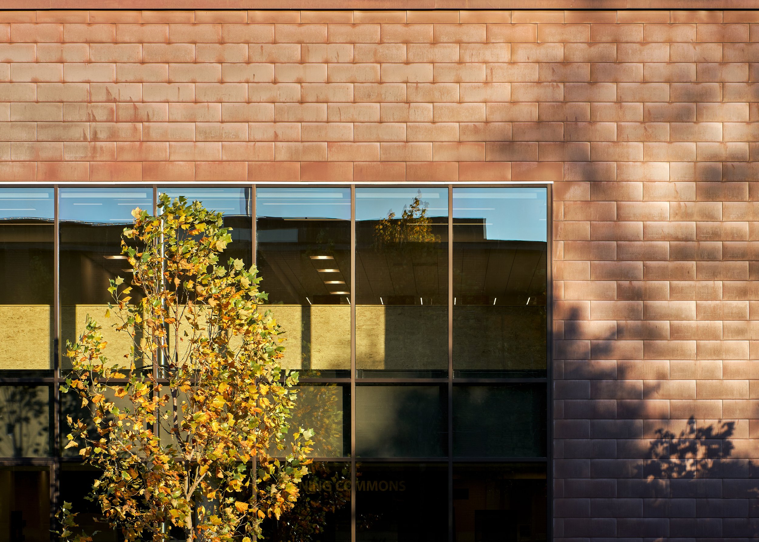 (c) Ross Eckert-WCC Learning Commons-024.jpg