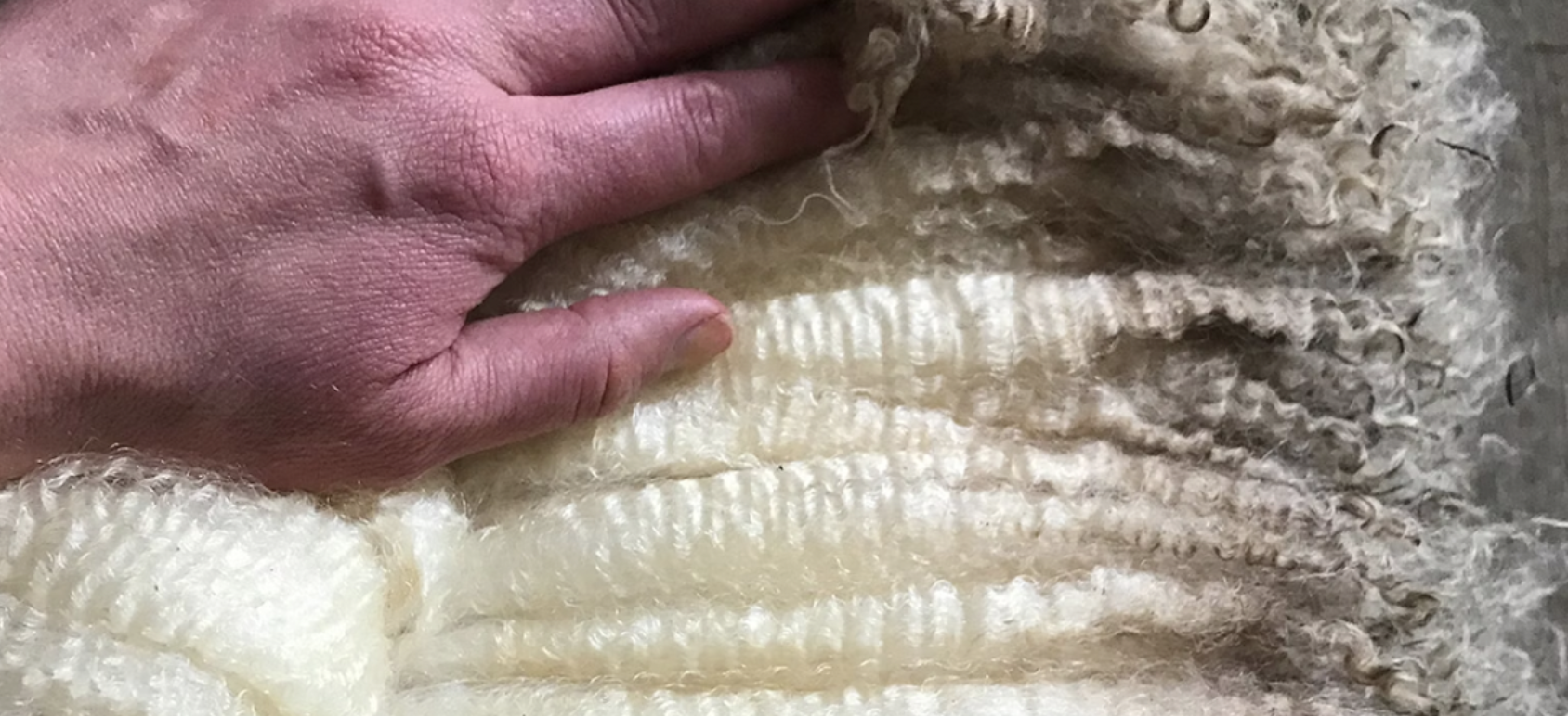 What Is Strong Wool?