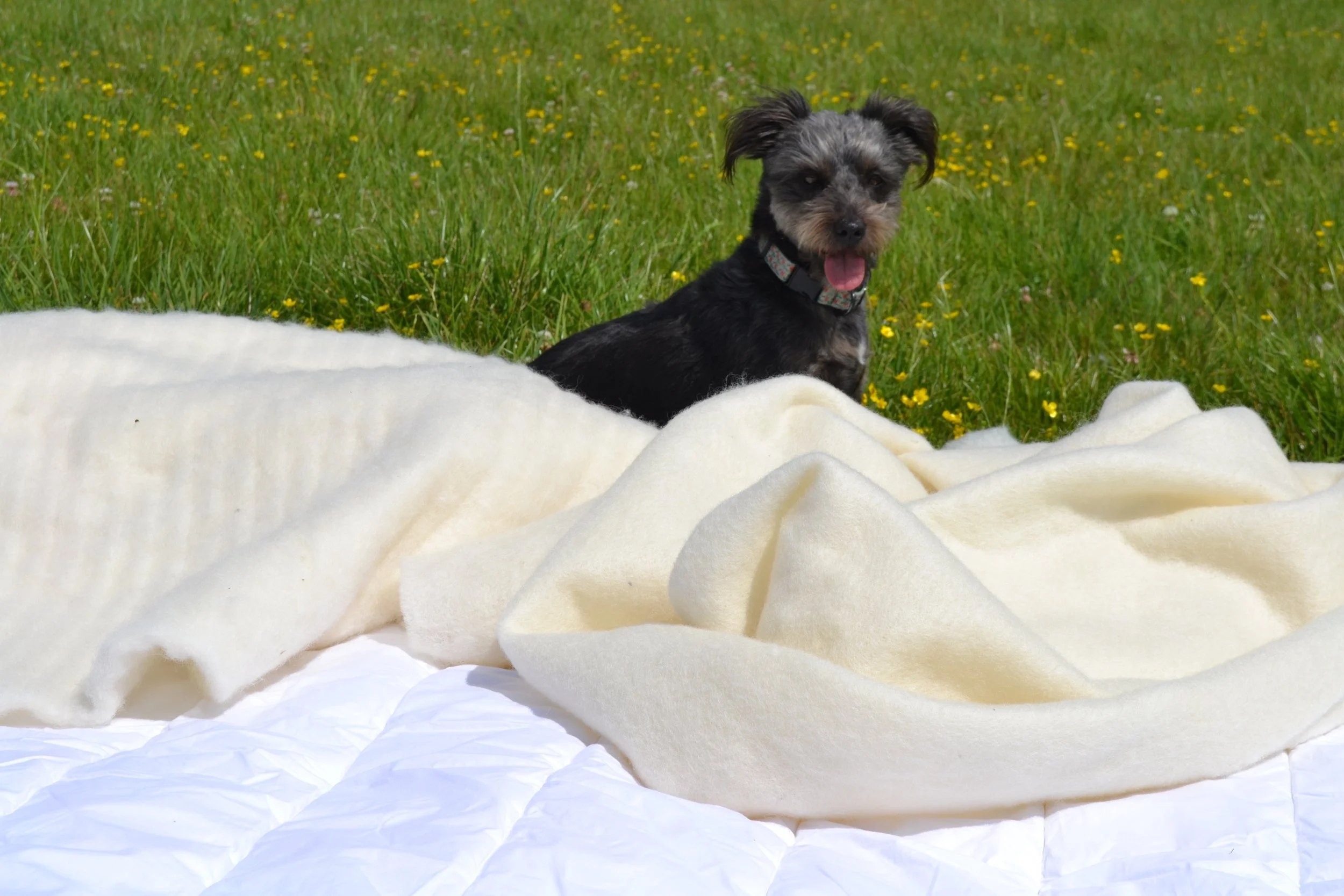 Wisewool™ WiseLayer™ Direct Replacement for Dacron, Tetron and Polyester wadding