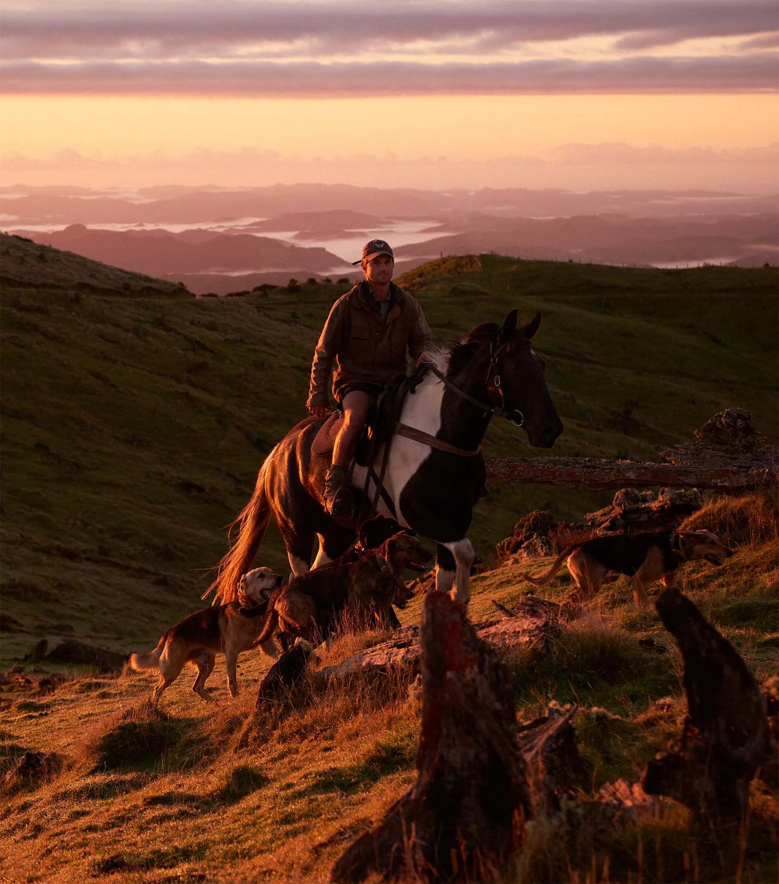 Fraser Tombleson herding sheep on horseback at Aerial Station.