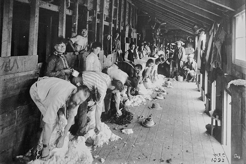 Historical photo of workers processing wool at the Gisborne Wool Company Ltd scouring plant, the origin of Wisewool™.