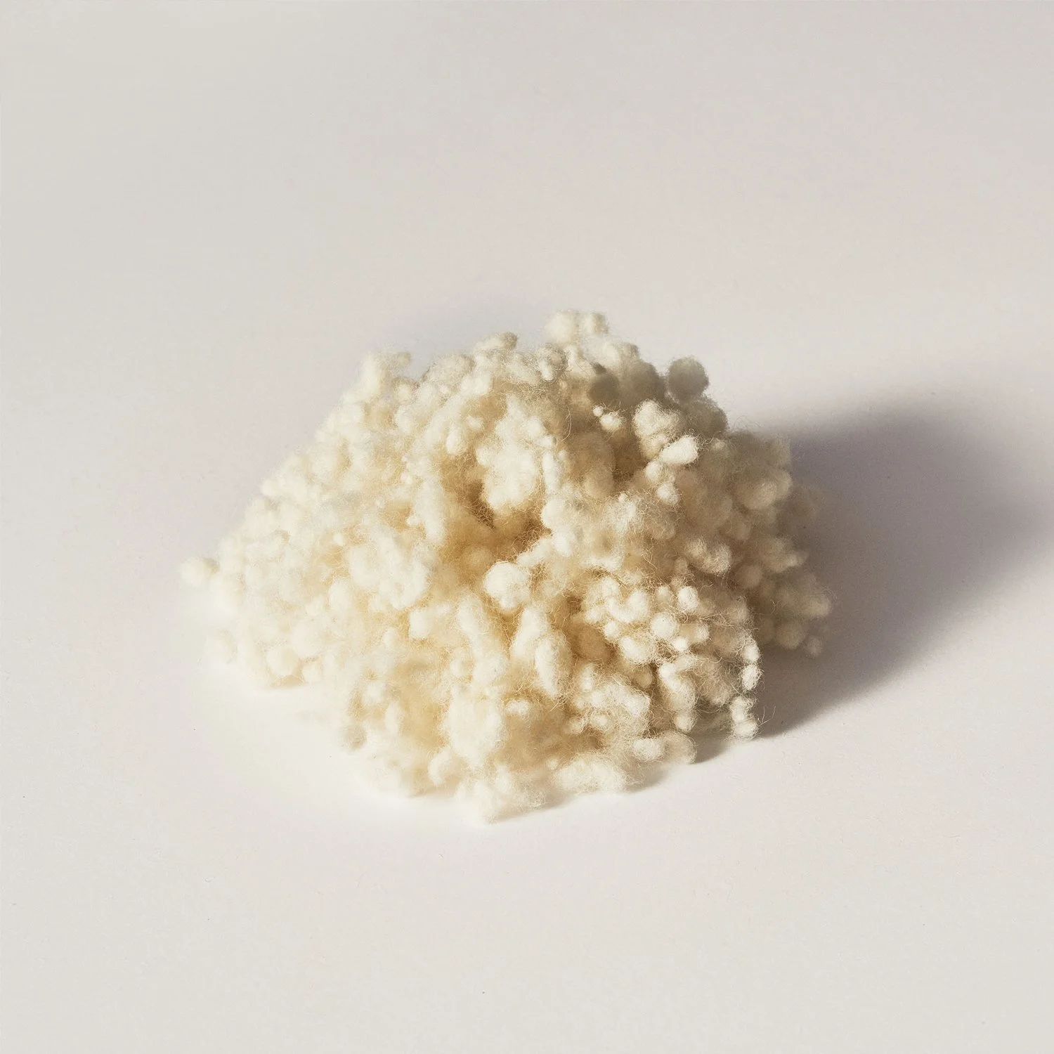 Close-up of Wisewool™'s Wisefill™', a natural strong wool filling.