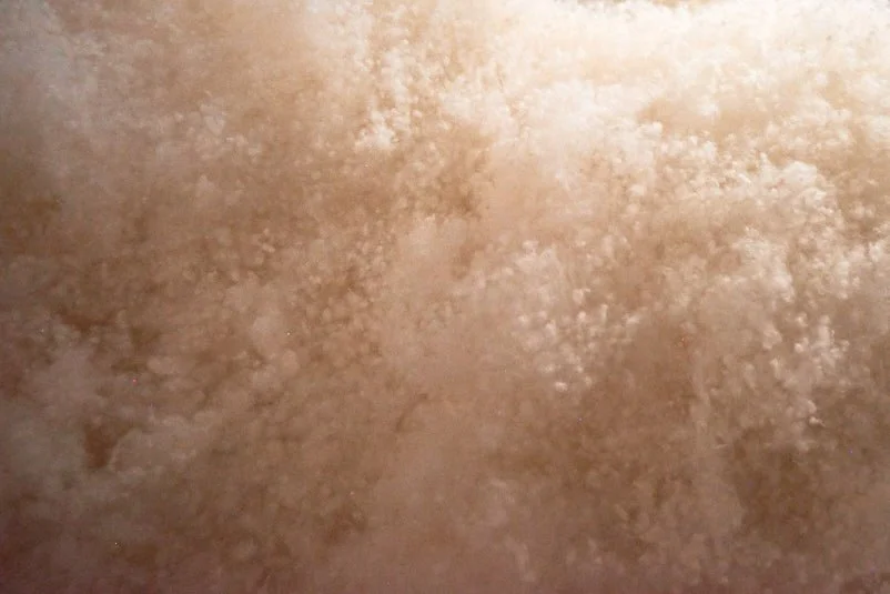 Close-up of Wisewool™'s Wisefill™ wool fibre, a natural alternative to synthetics for furniture and bedding.