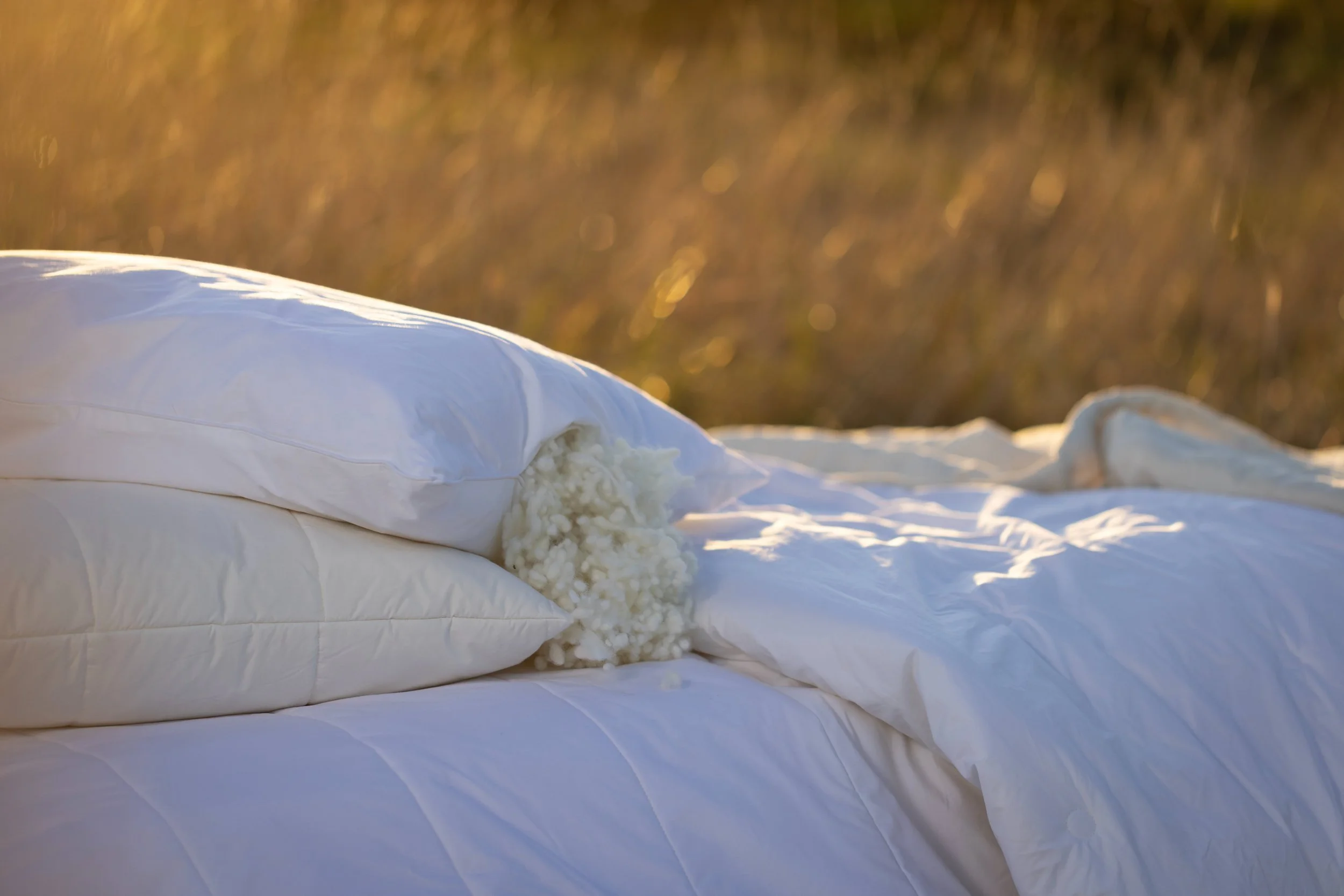 Wisewool™ bedding, including pillows, duvet, and mattress protector.