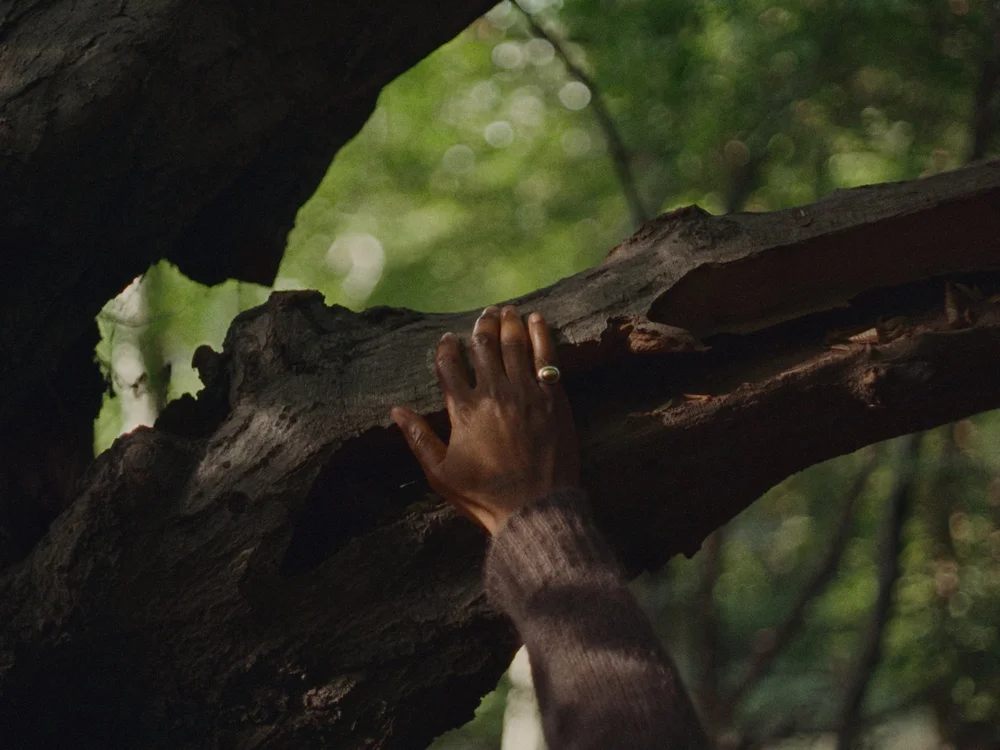 A hand against textured tree bark, from Samm Henshaw’s album promo