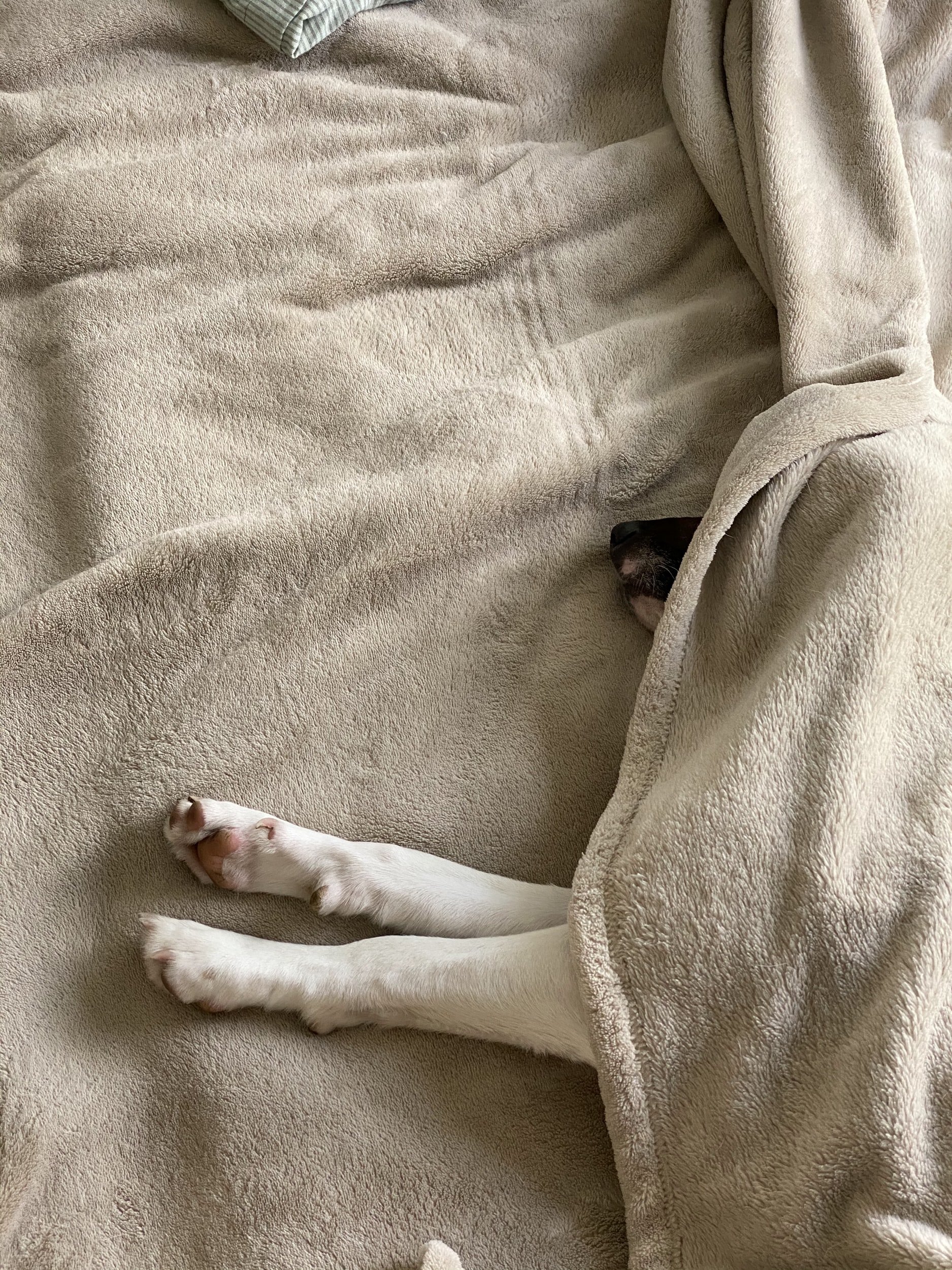 Don’t bother me I’m napping for half a day