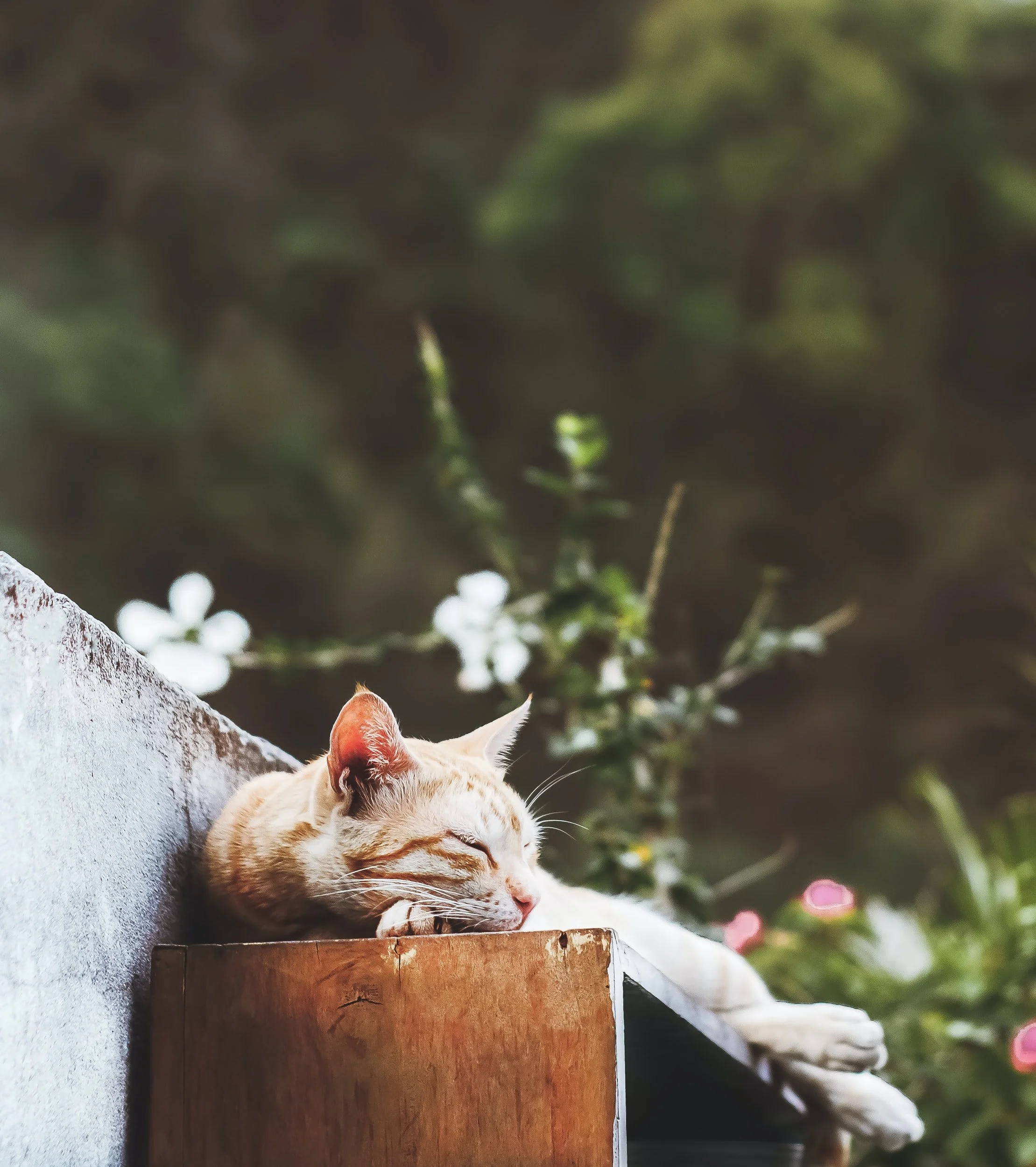 Still resting