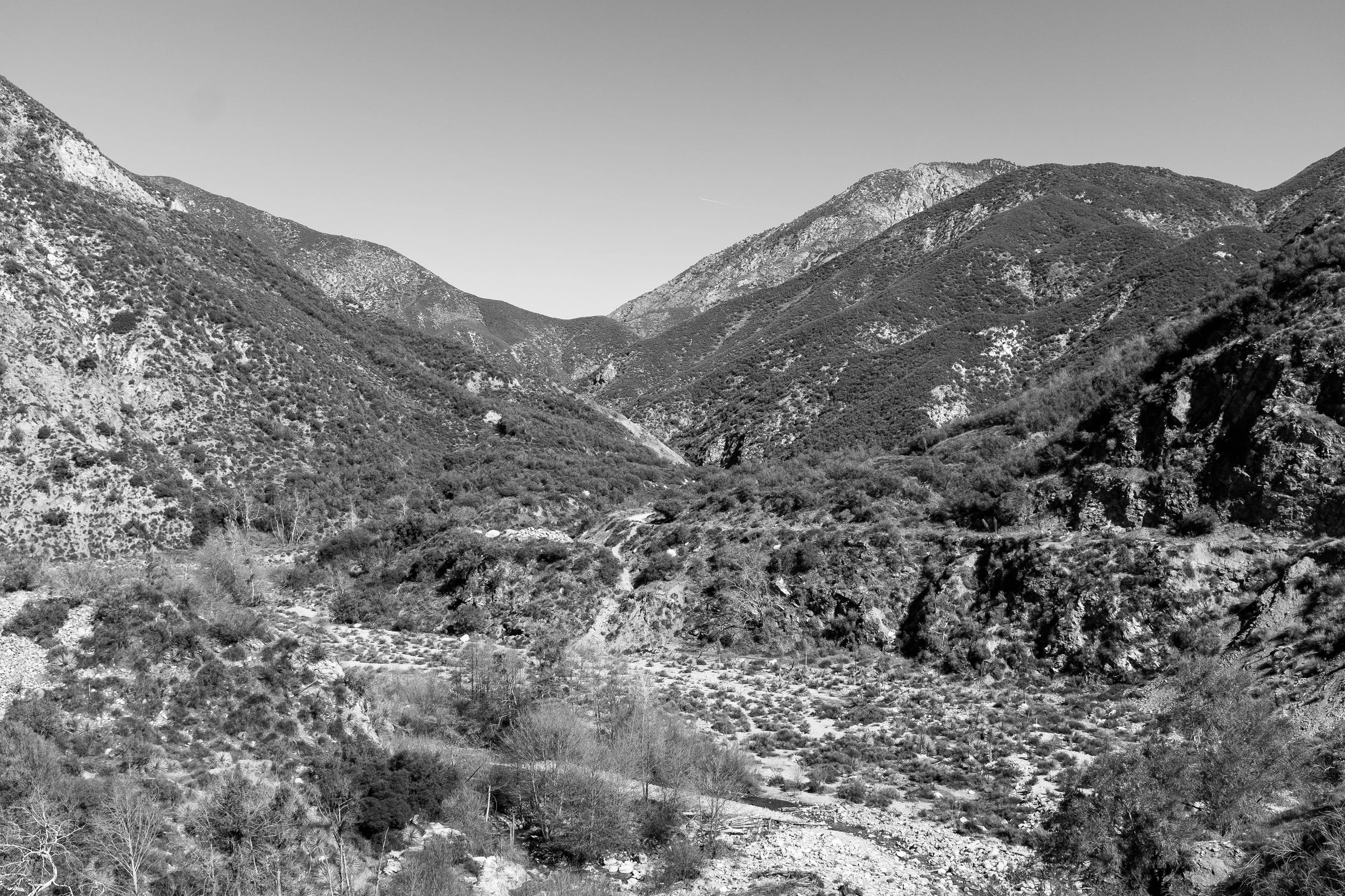 DSCF8422.jpg