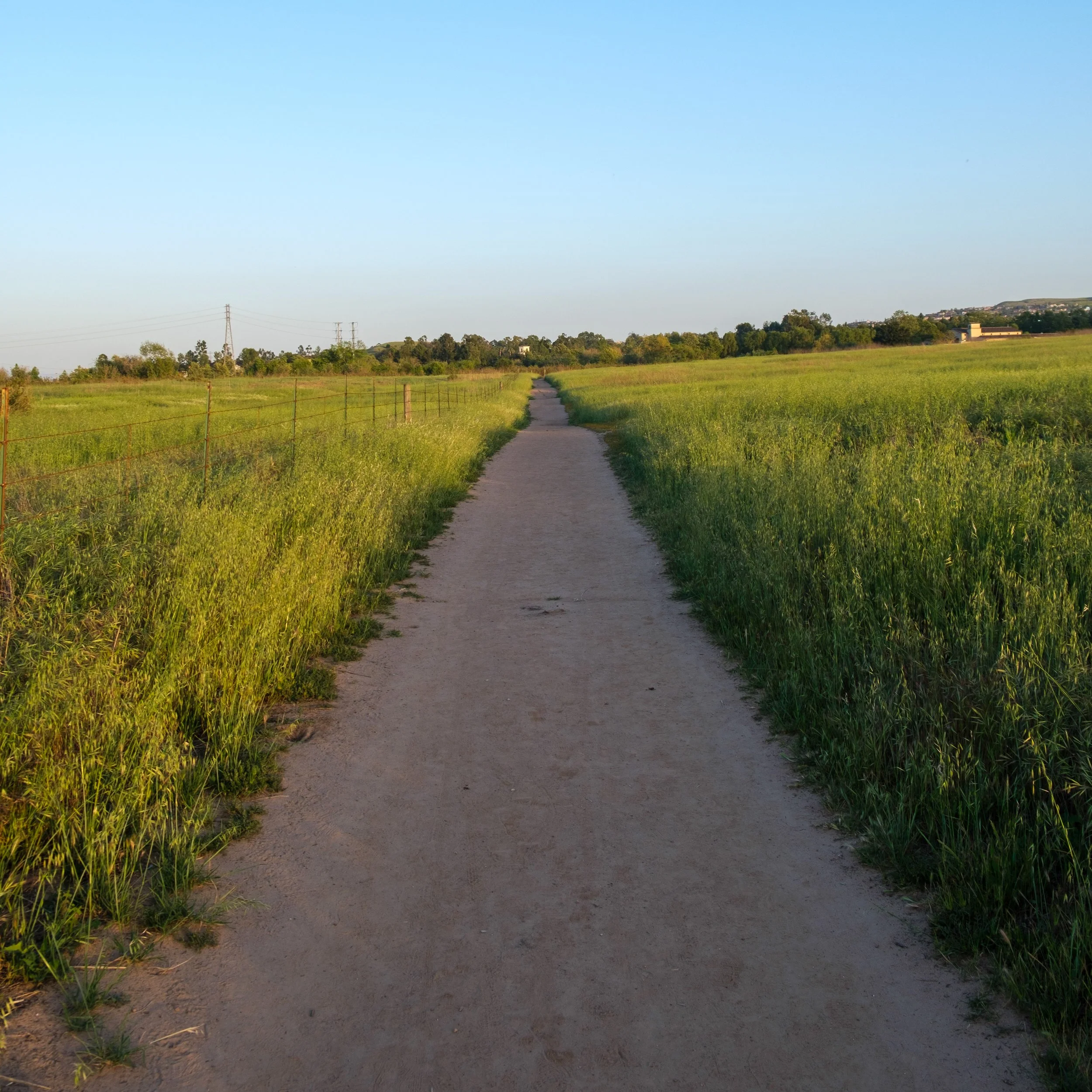 DSCF0070.jpg