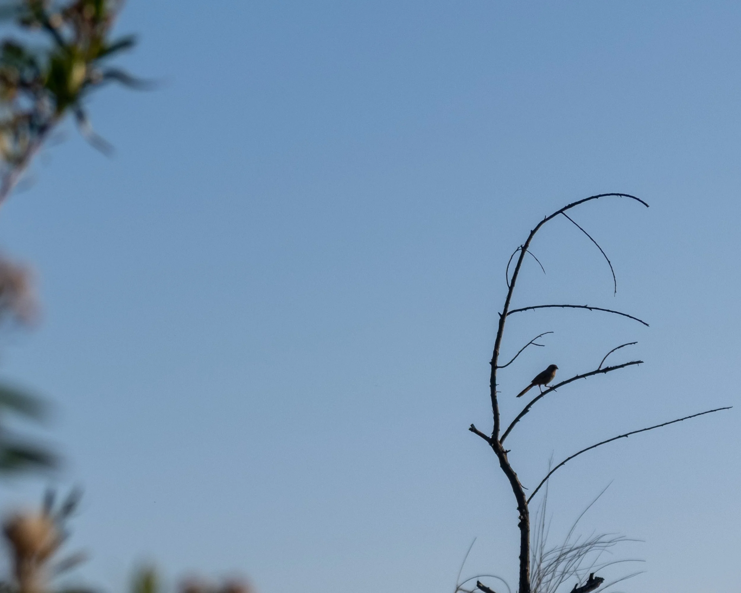 DSCF0164.jpg