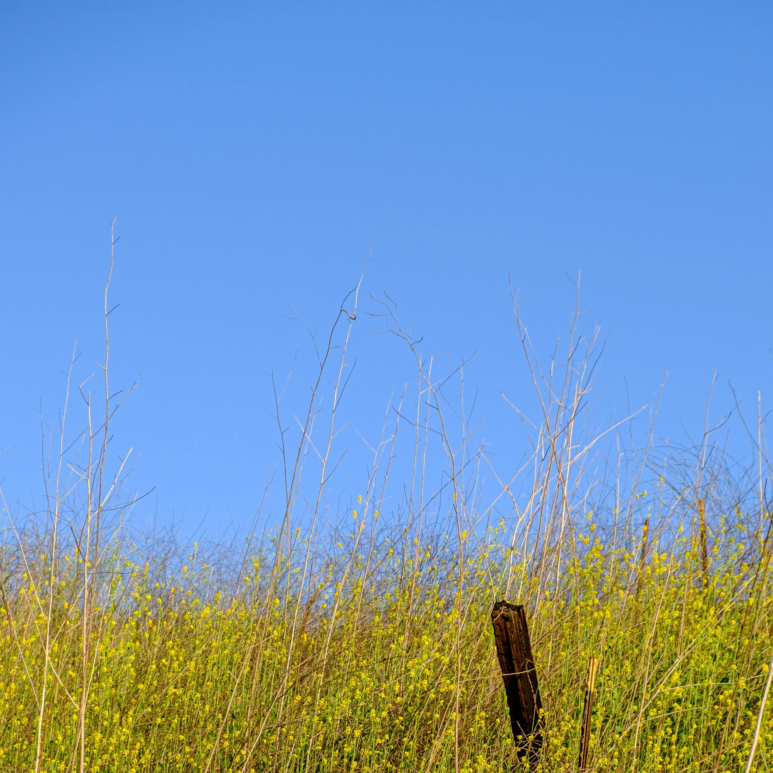 DSCF0173.jpg
