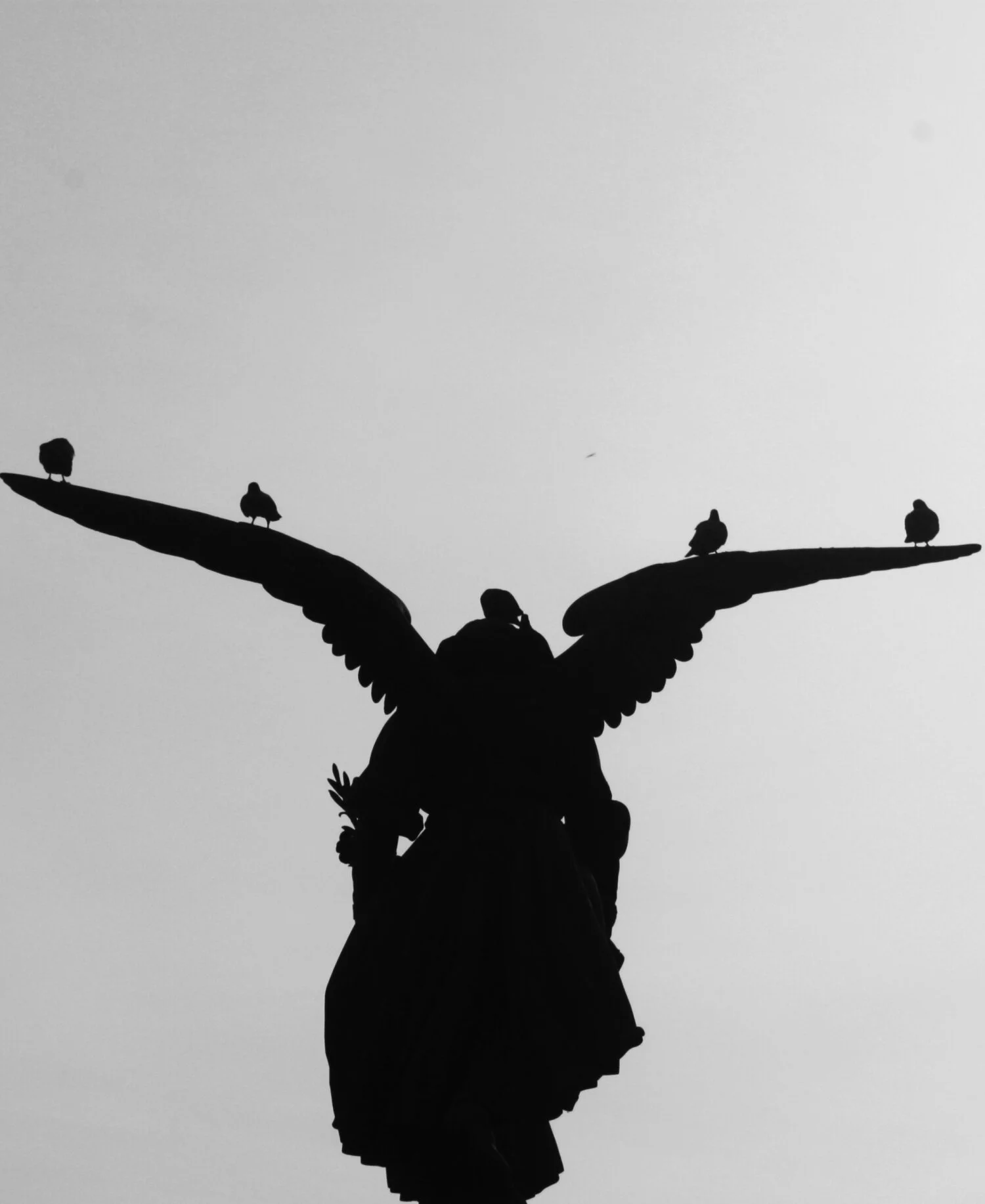 Flight.jpg