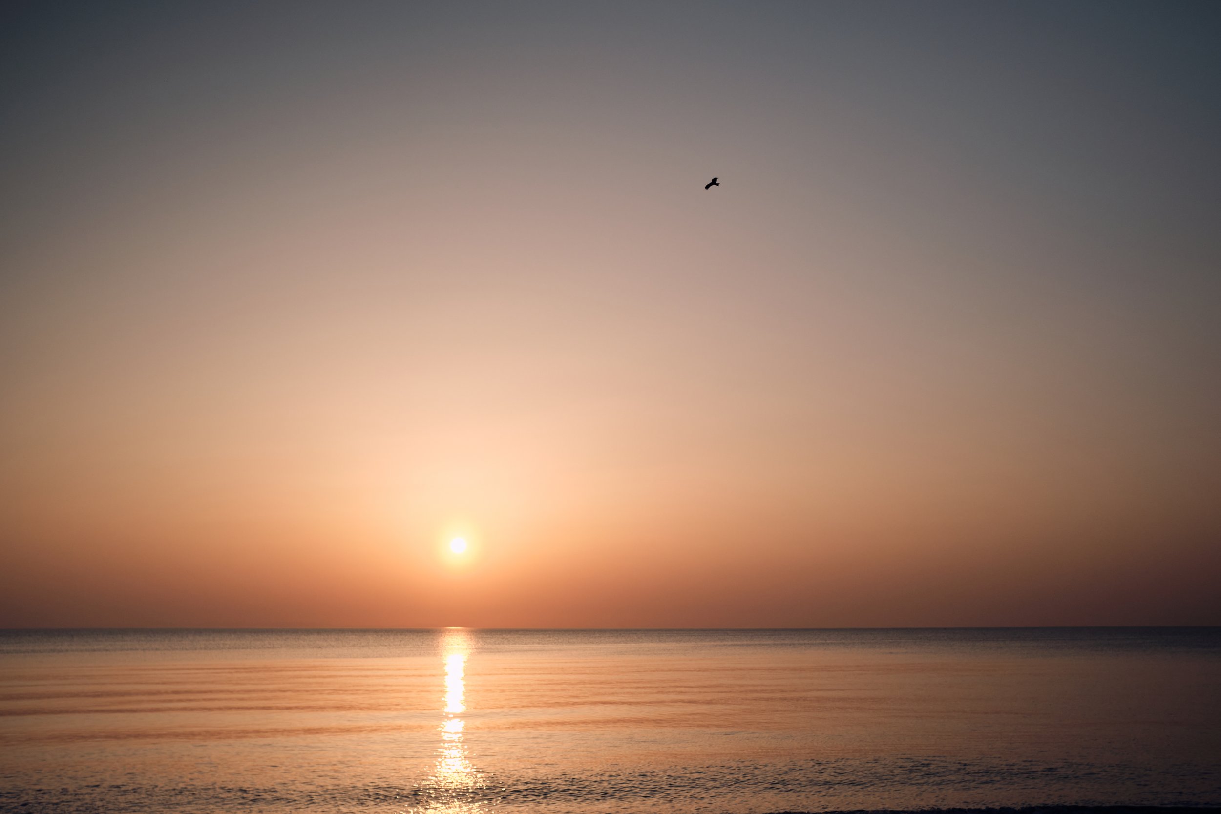 Saturday Sunset.