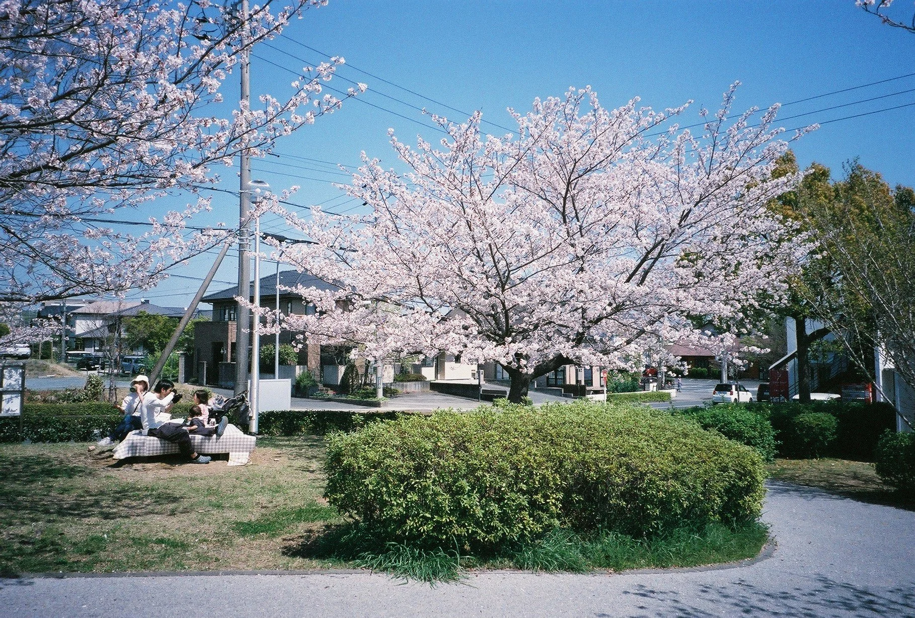 000032.JPG