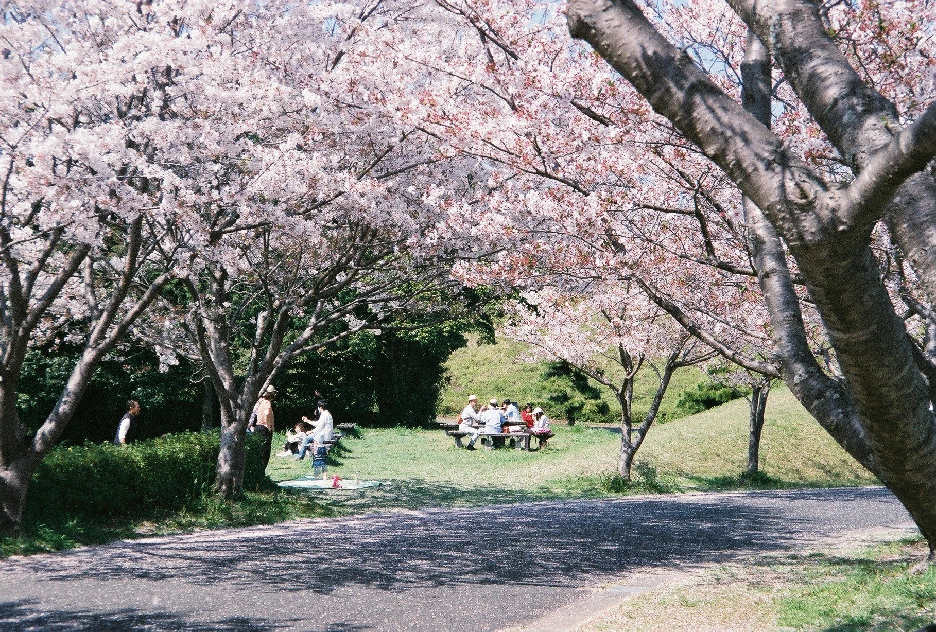 000041.JPG