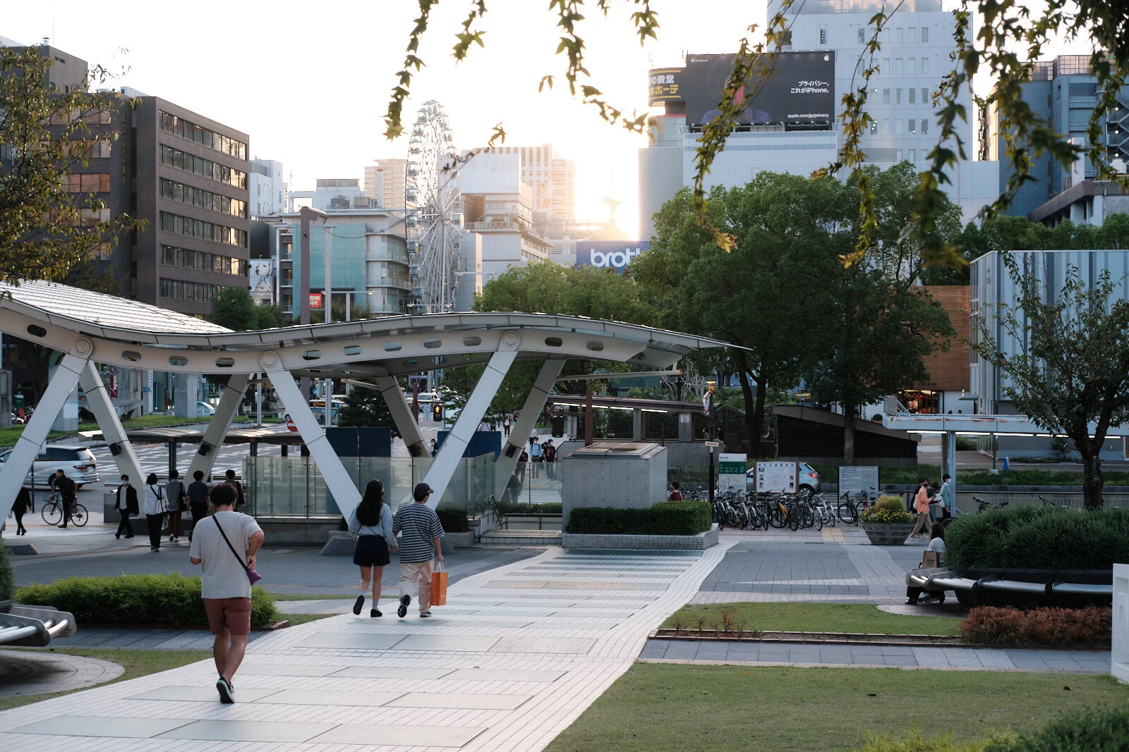 DSCF3507.jpg