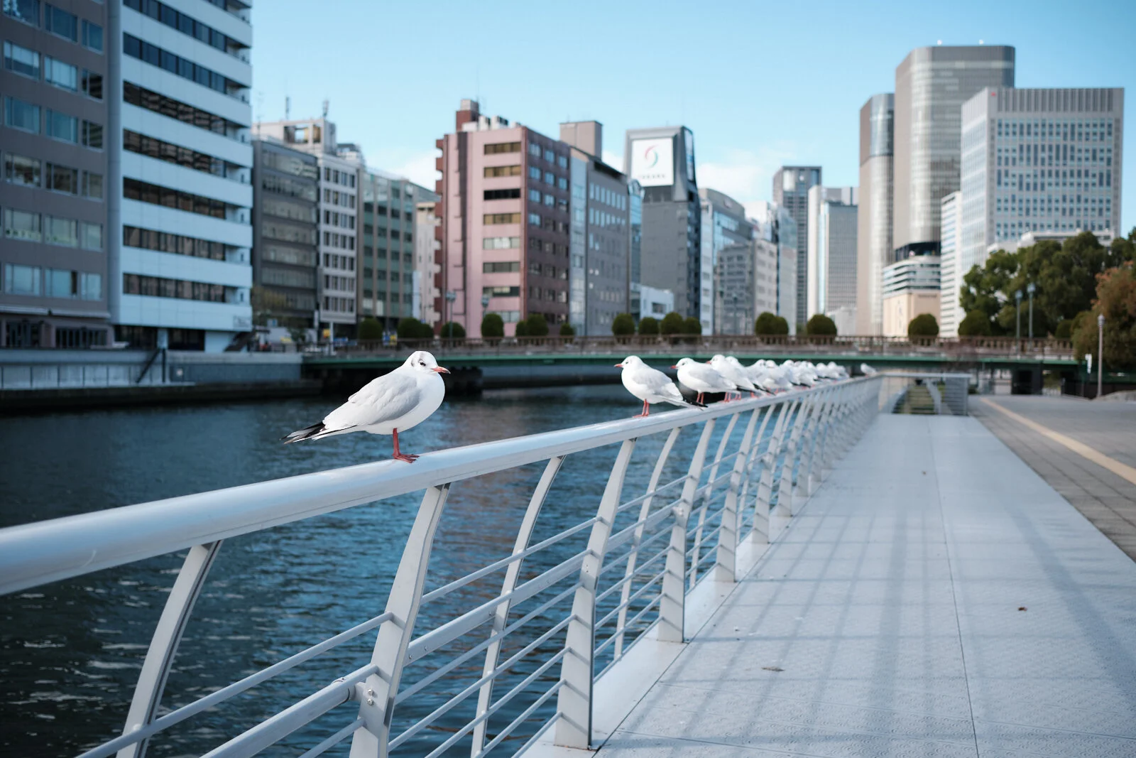 dansuzuki_street.jpg