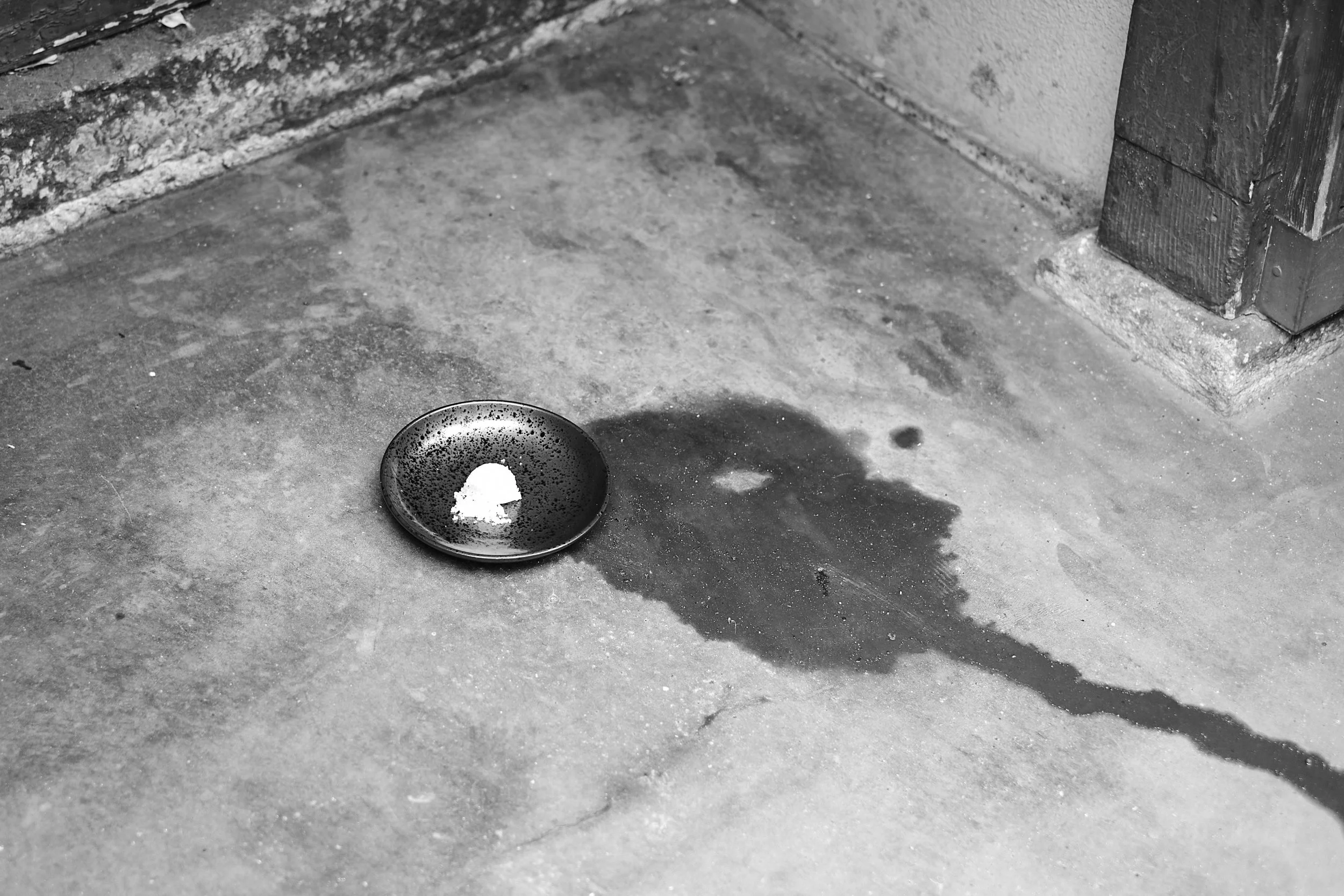 BOOK_PANDEMIC_KYOTO_20-07-097_.jpg