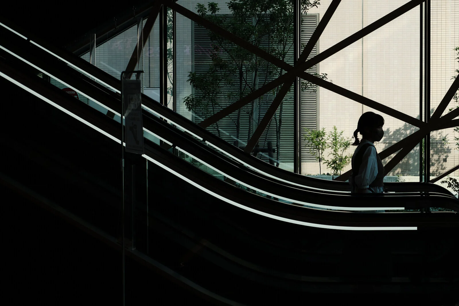 DSCF9581 1.jpg
