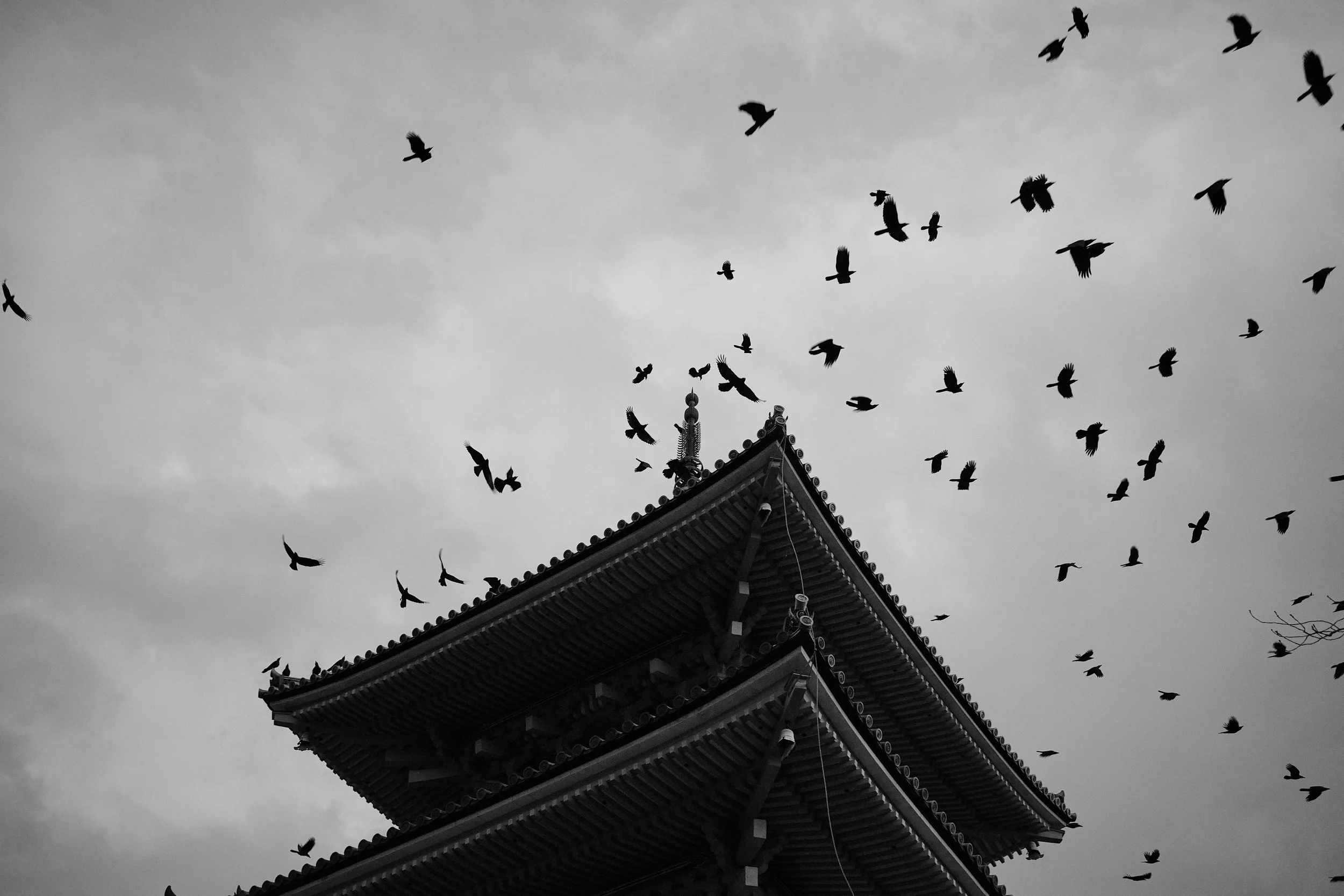 BOOK_PANDEMIC_KYOTO_21-11-2324_.jpg