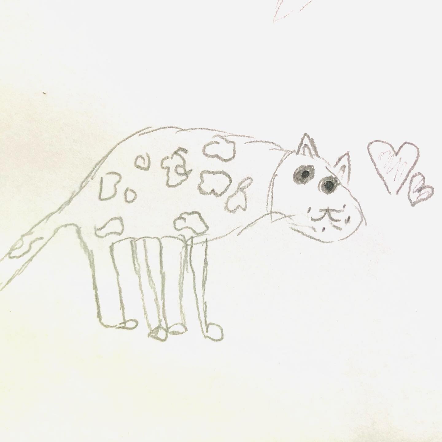 Kind leopard. Drawing says everything. I love my job.